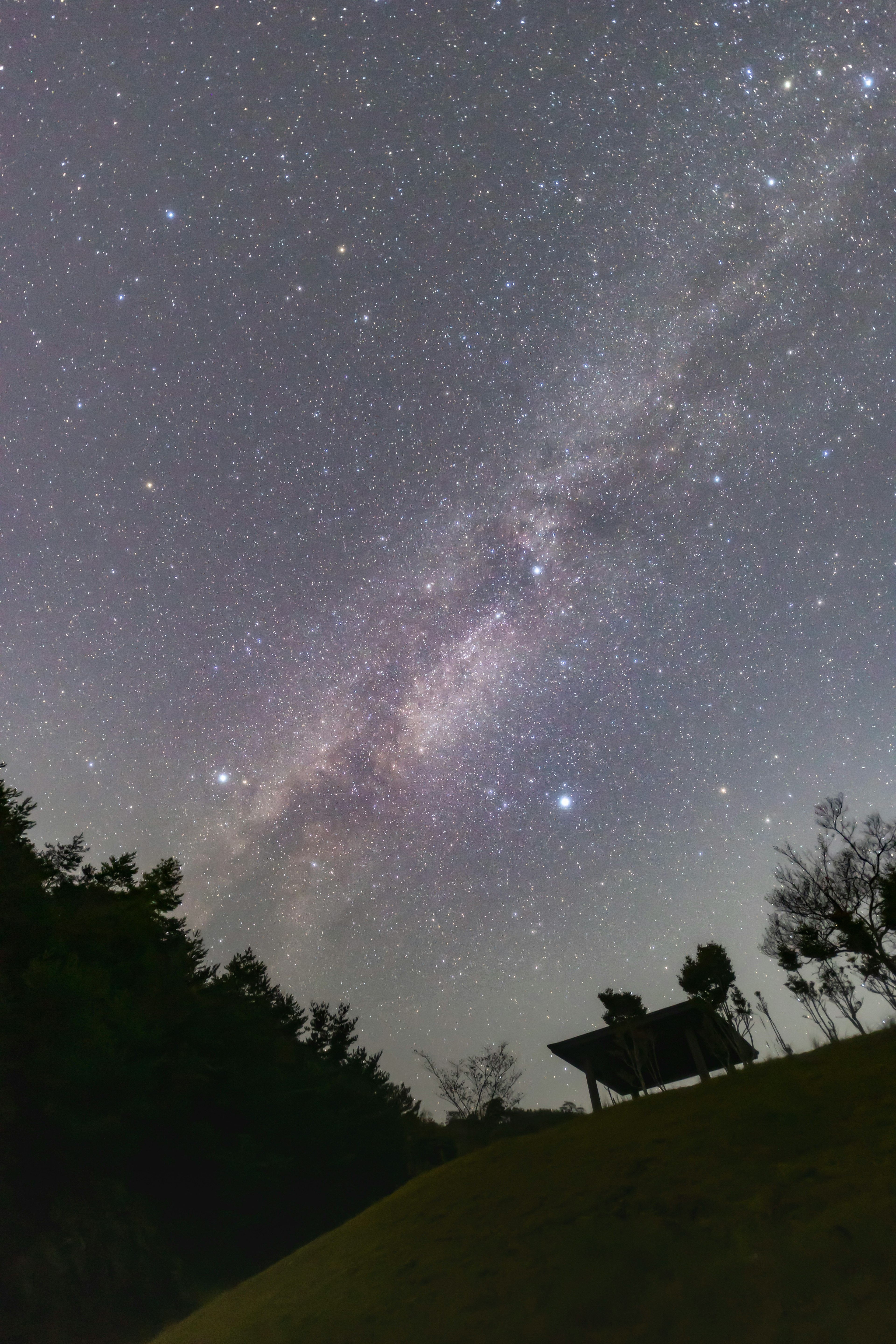 星空下的银河与剪影树木