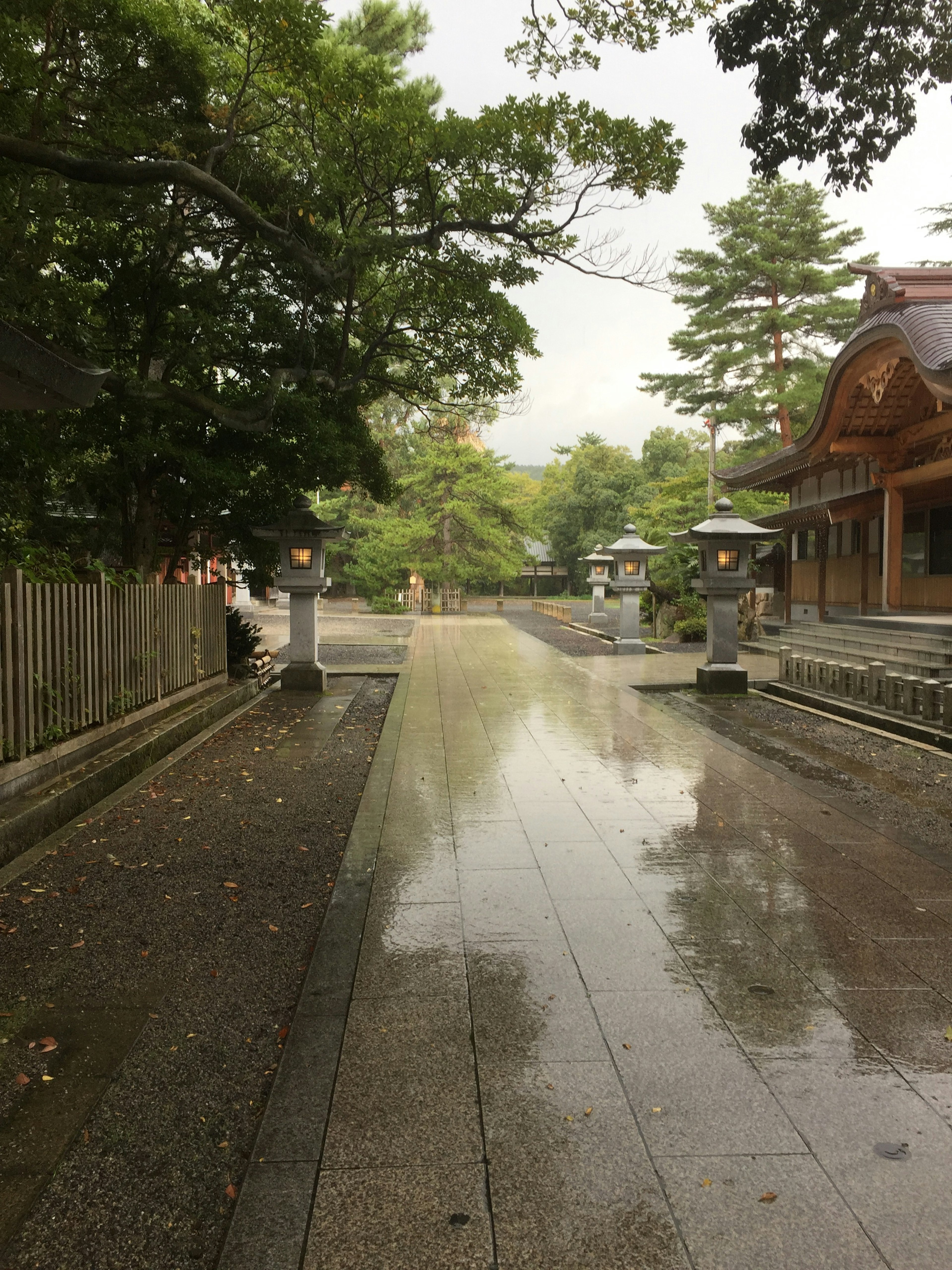 Rain-soaked stone path surrounded by lush green trees