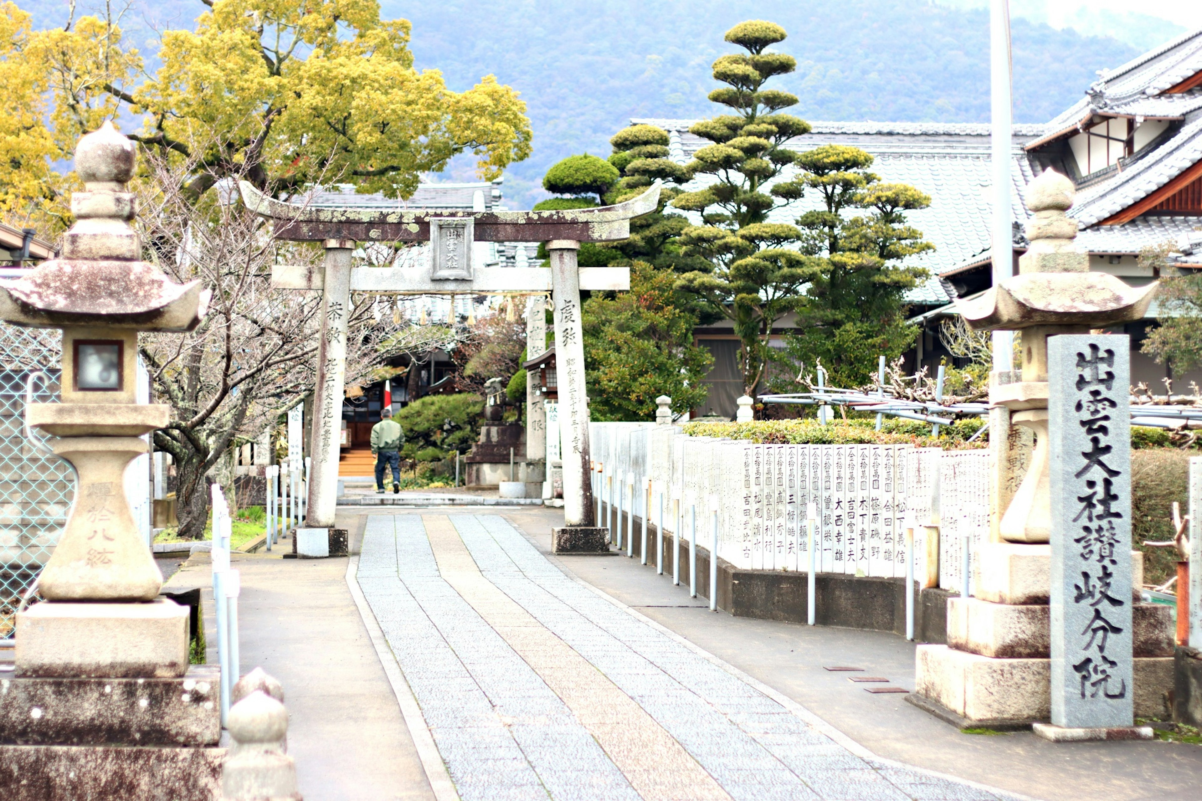 静かな石の道と緑の木々が並ぶ風景