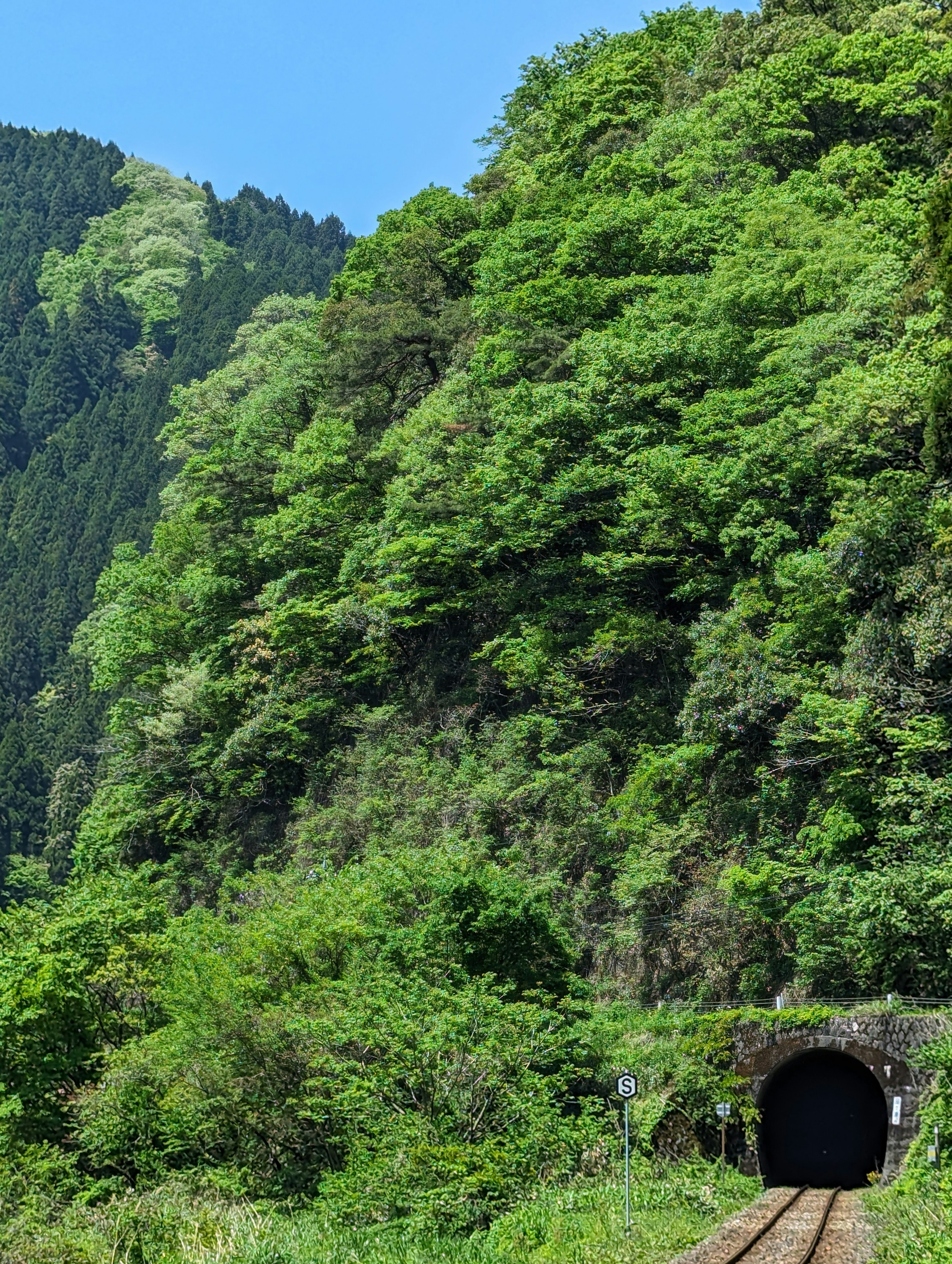 Lush green mountains with a tunnel entrance