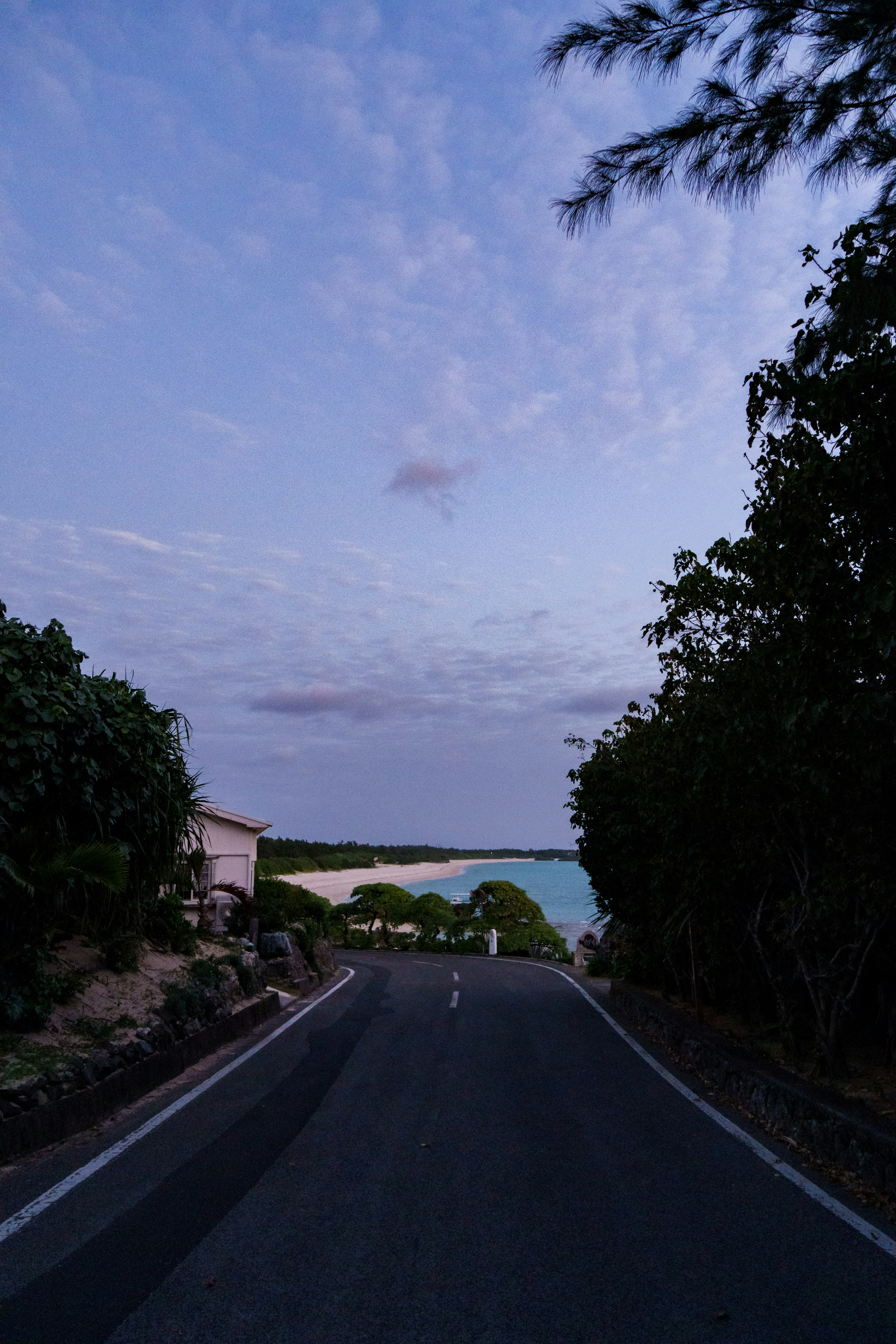 夕暮れ時の静かな海沿いの道路 右側には緑の木々が並ぶ