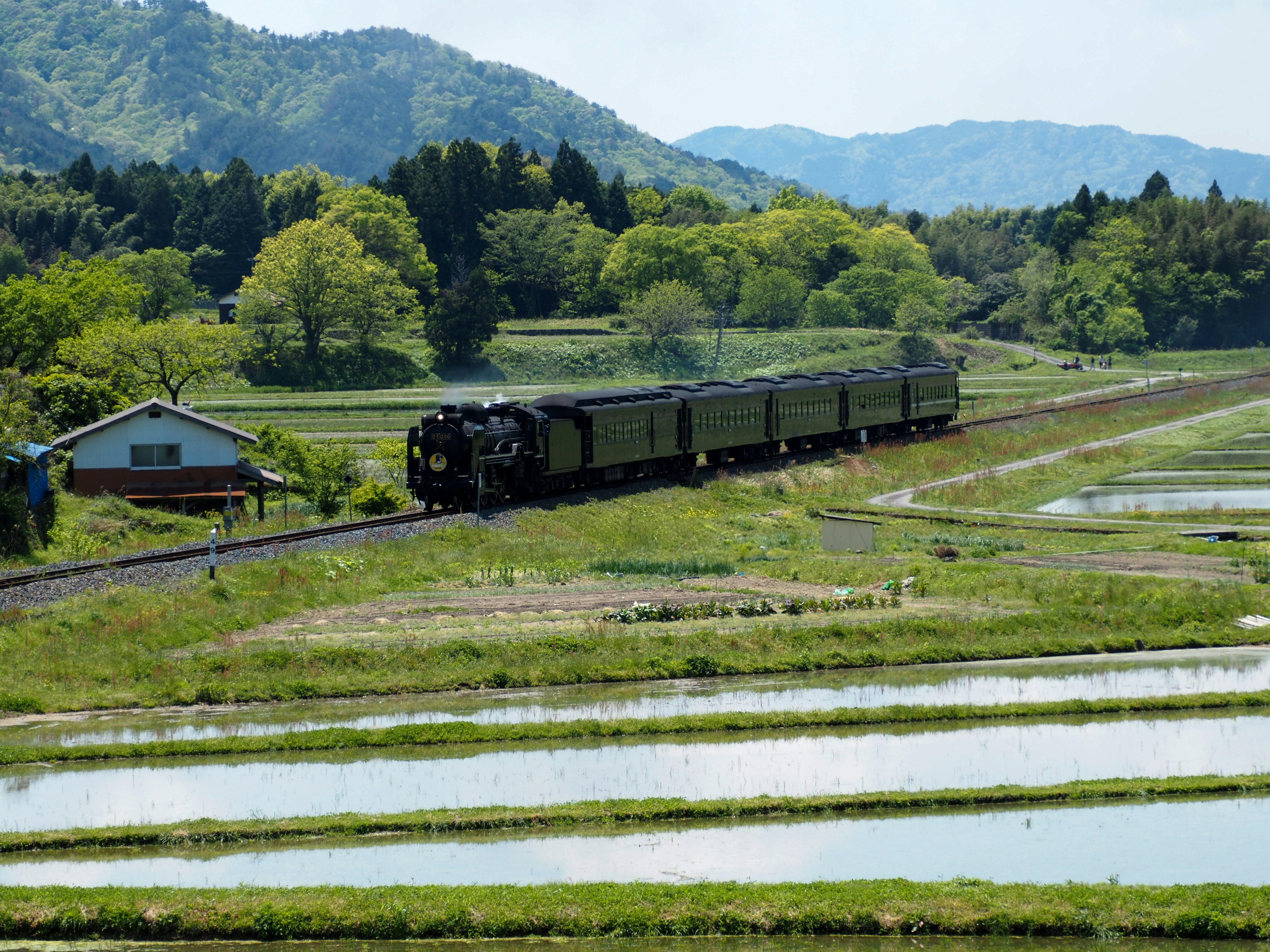 緑豊かな田園地帯を走る蒸気機関車と列車