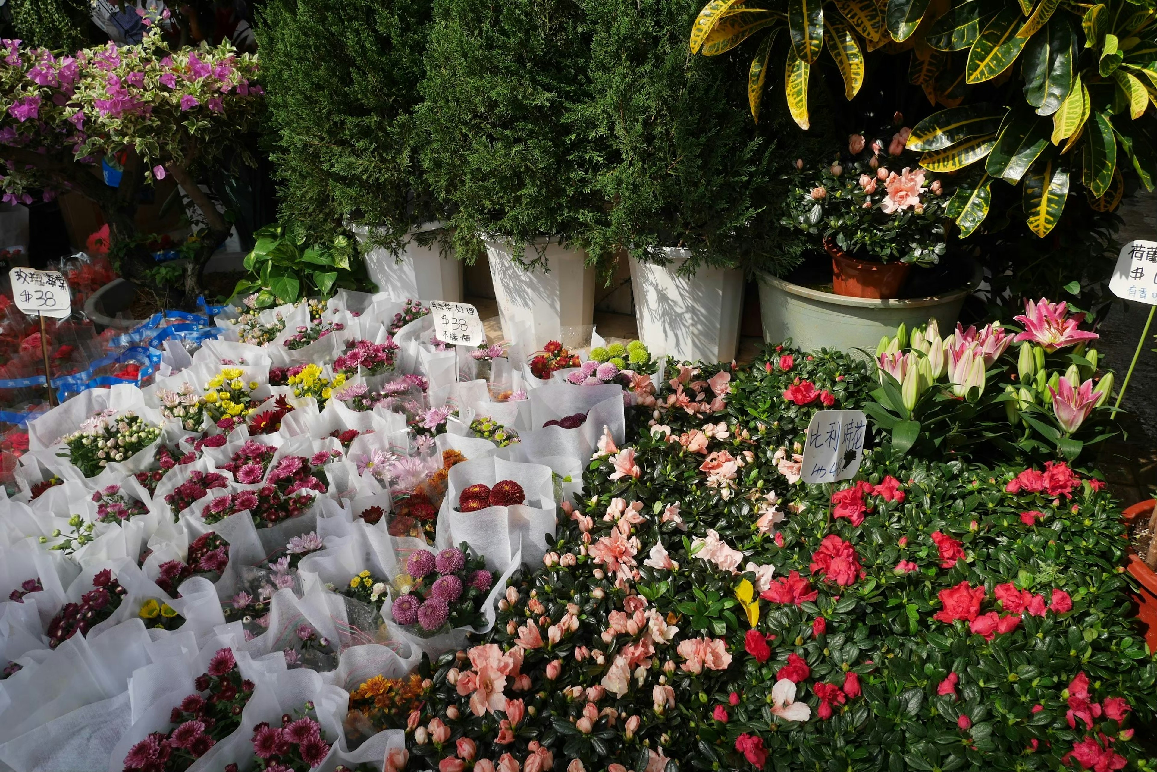 Scena di mercato dei fiori vibrante con bouquet colorati e vegetazione