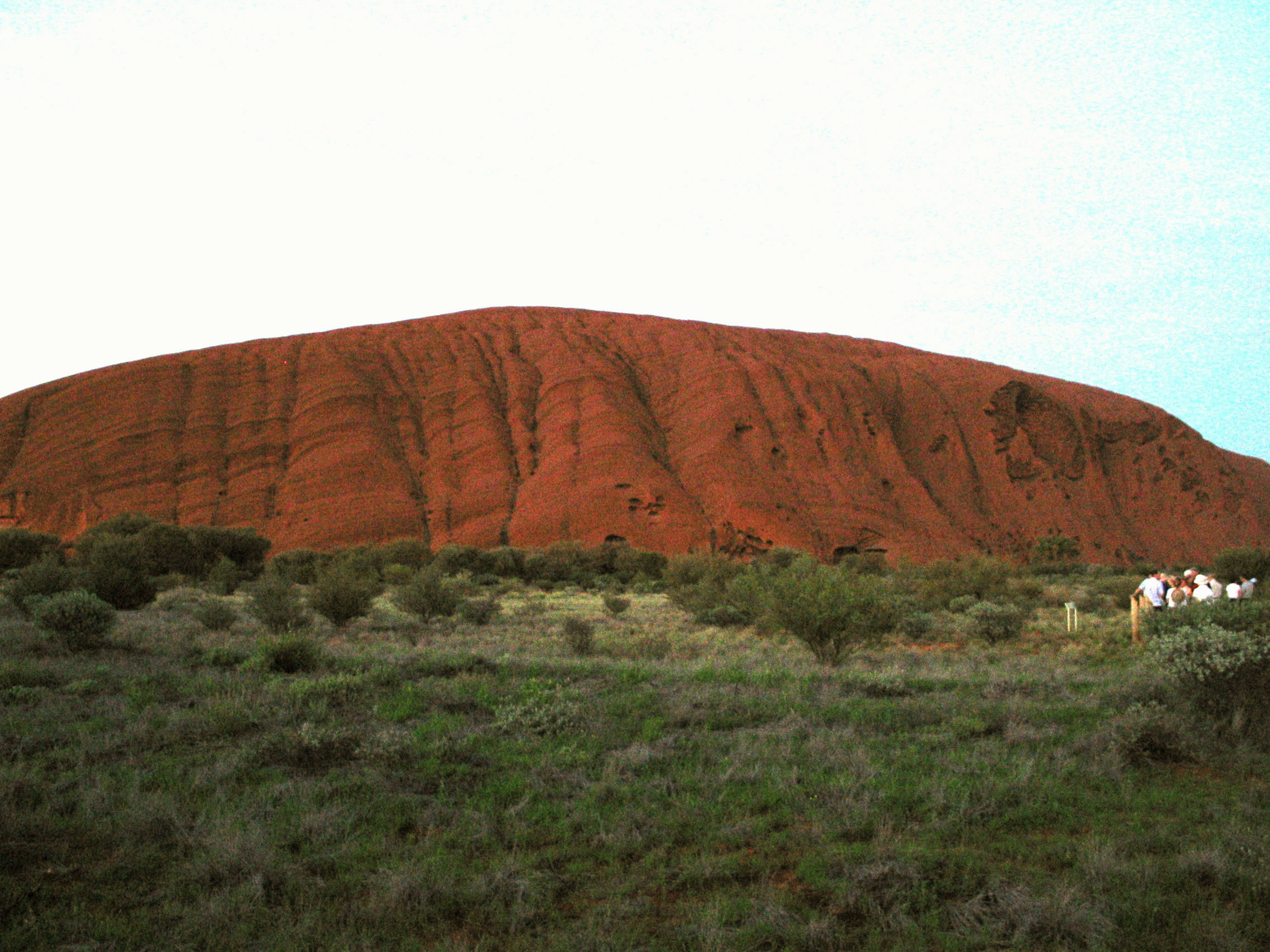 Uluru's red rock formation with green grassland