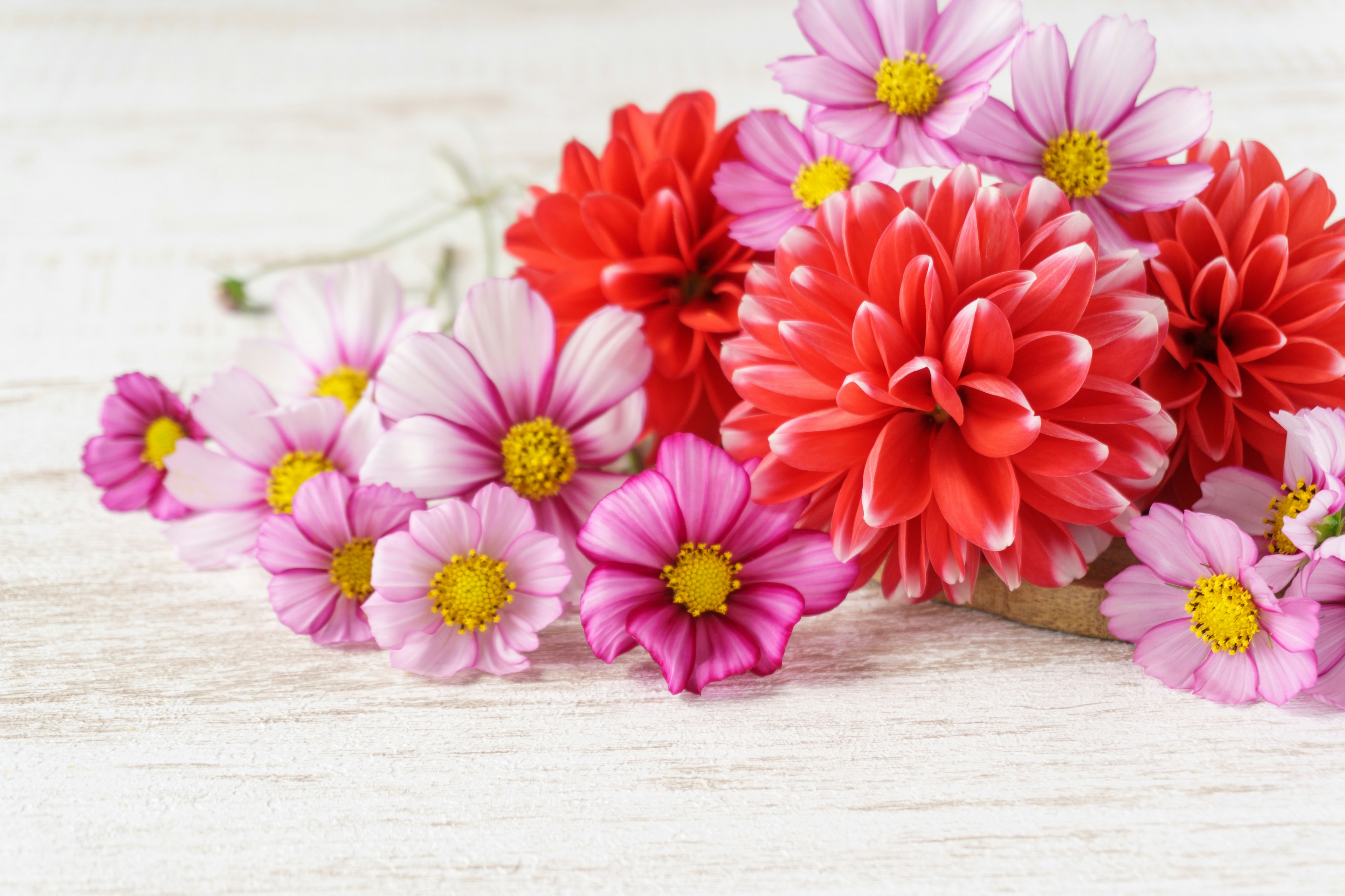 Ein lebhaftes Arrangement von bunten Blumen einschließlich rosa und roten Blüten