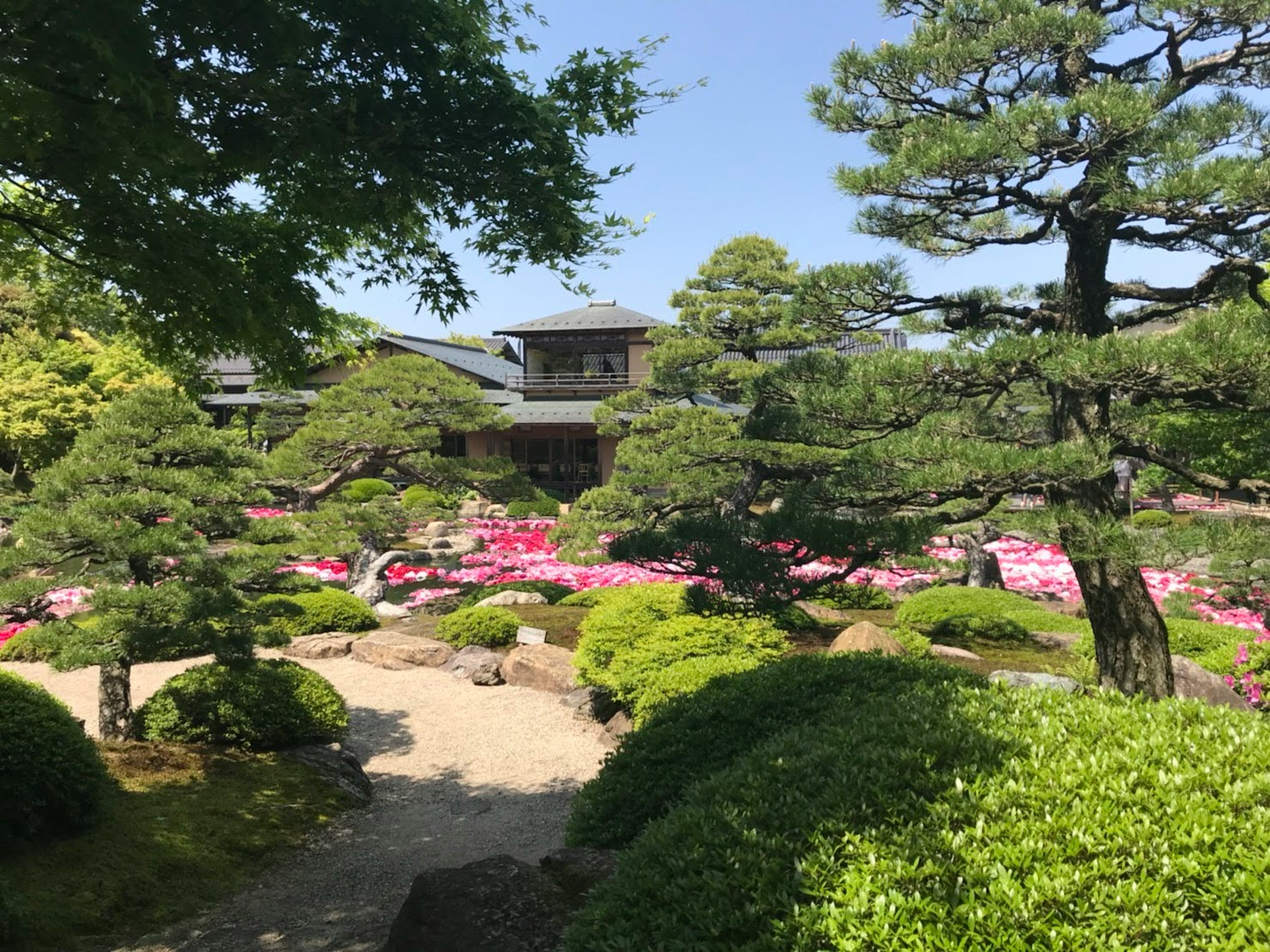 庭園の風景に咲くピンクの花と緑の木々