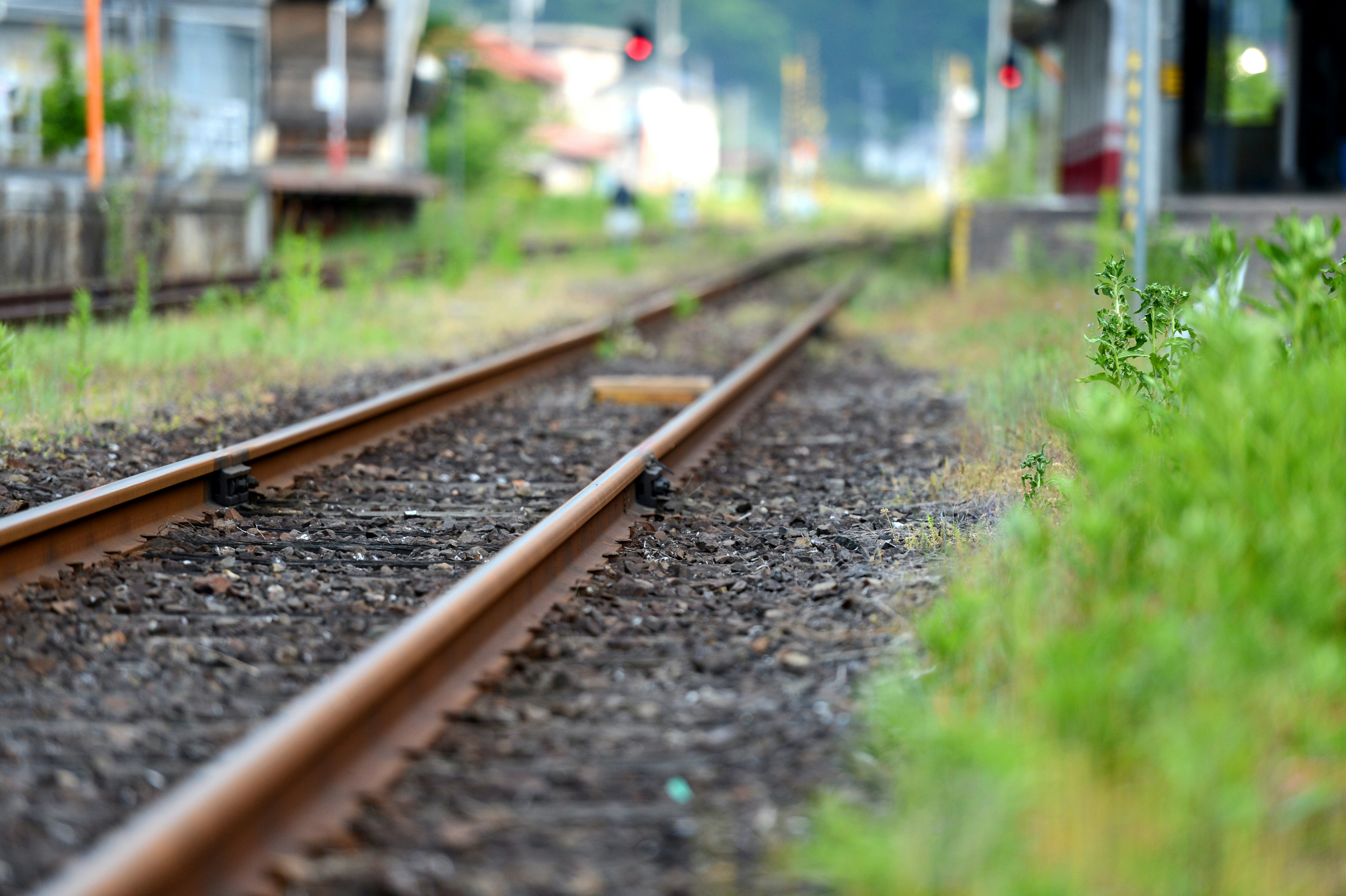 鐵路軌道的景觀，背景有綠化和車站建築