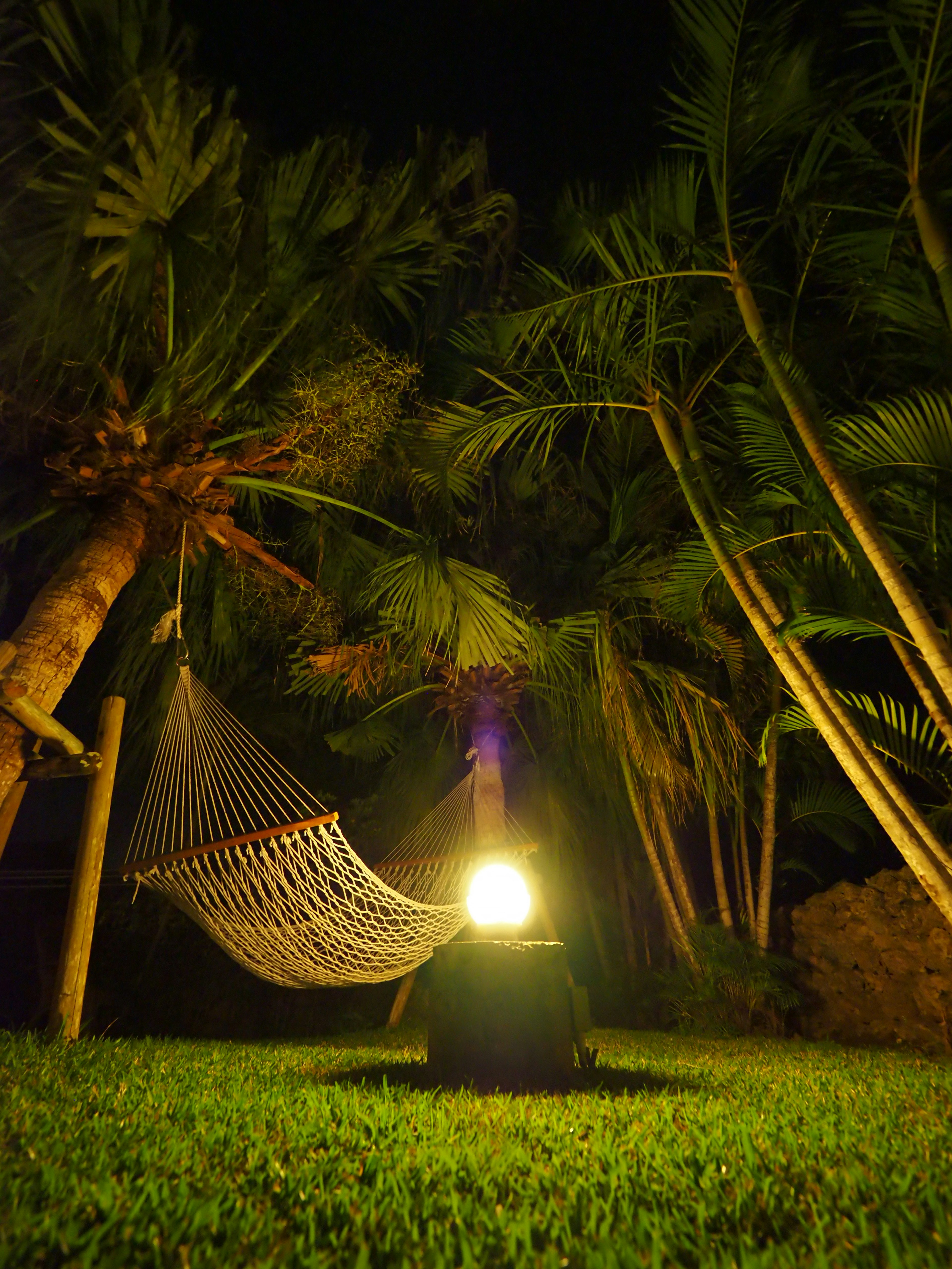 A hammock and glowing lamp in a garden at night