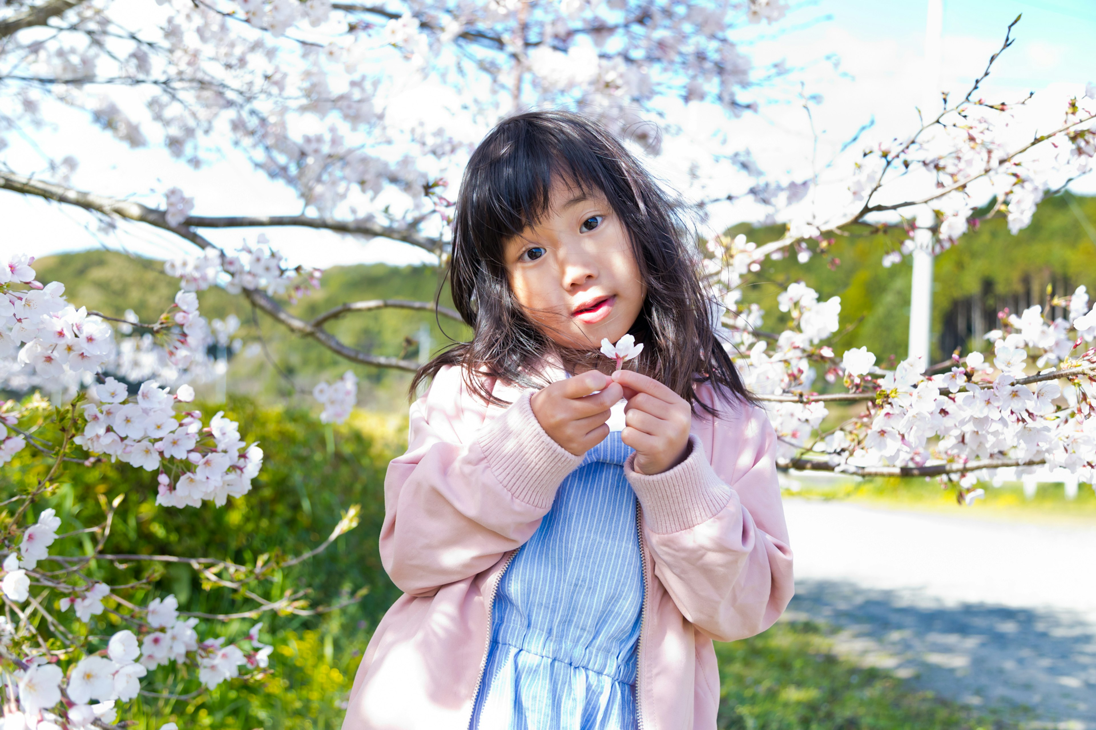 Niña sosteniendo una flor de cerezo debajo de un árbol