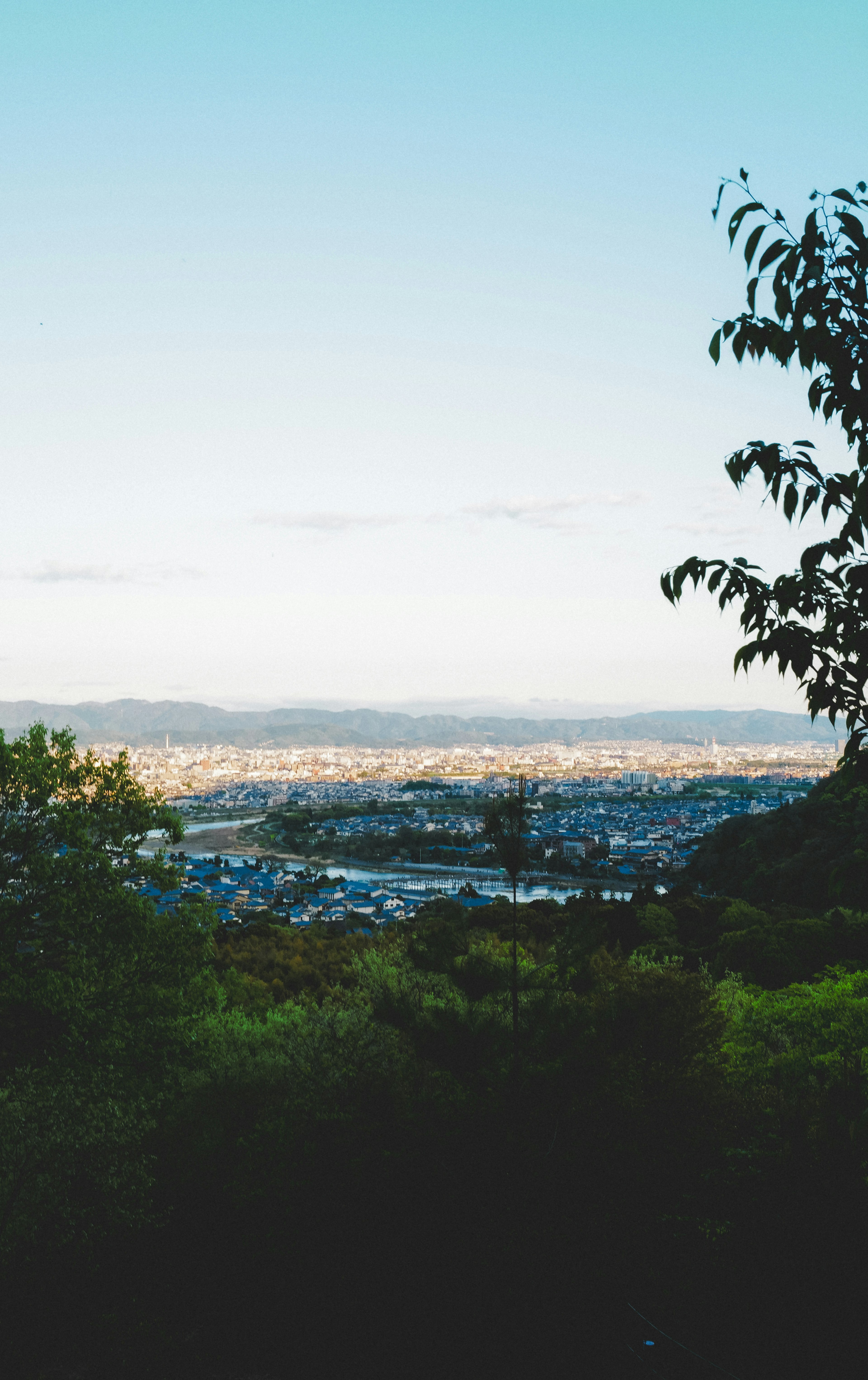 Vista escénica de vegetación exuberante con un paisaje urbano distante bajo un cielo azul