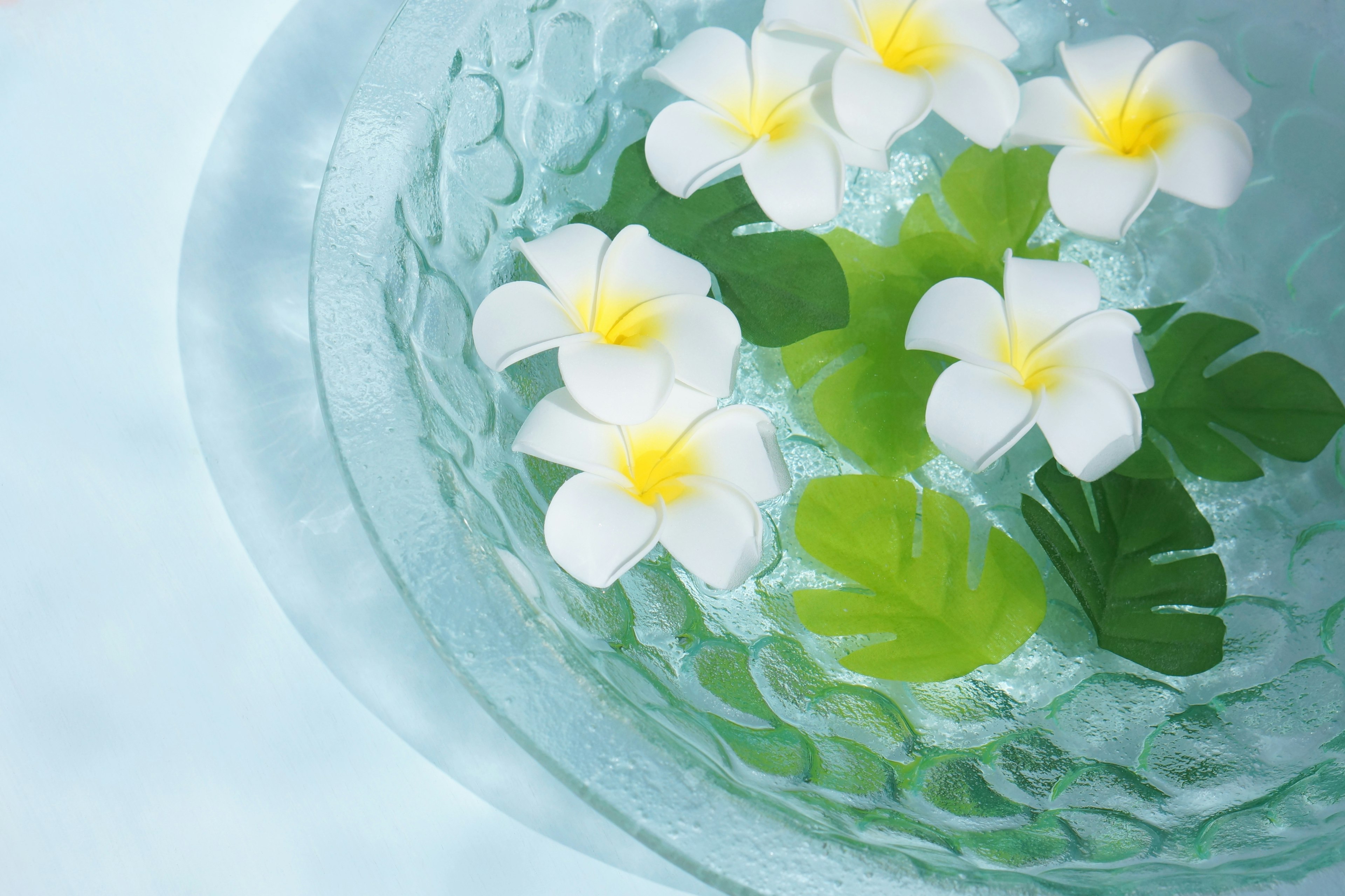 Weiße Blumen und grüne Blätter, die in einer klaren Schüssel schwimmen