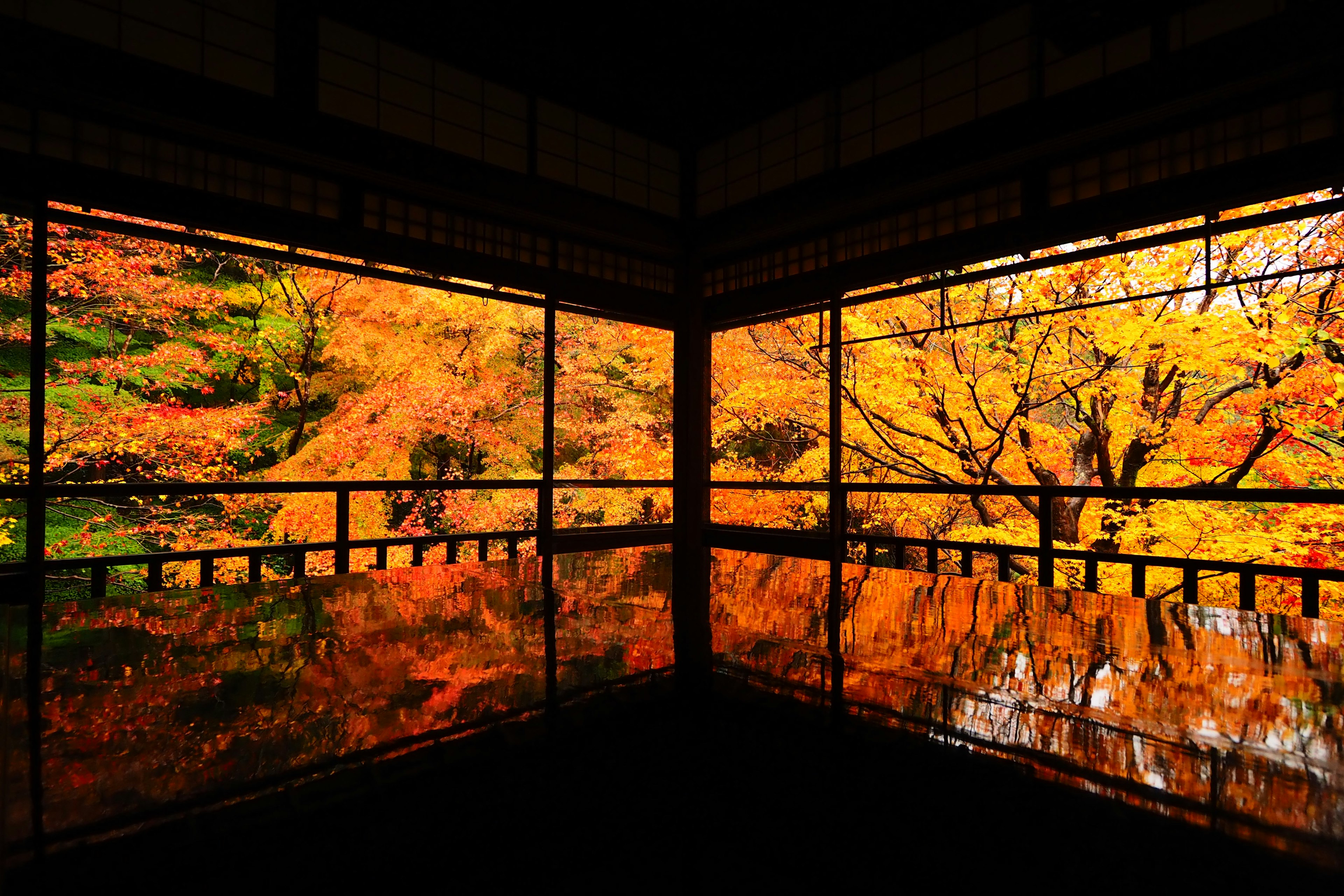 Un bellissimo paesaggio autunnale riflesso nelle finestre