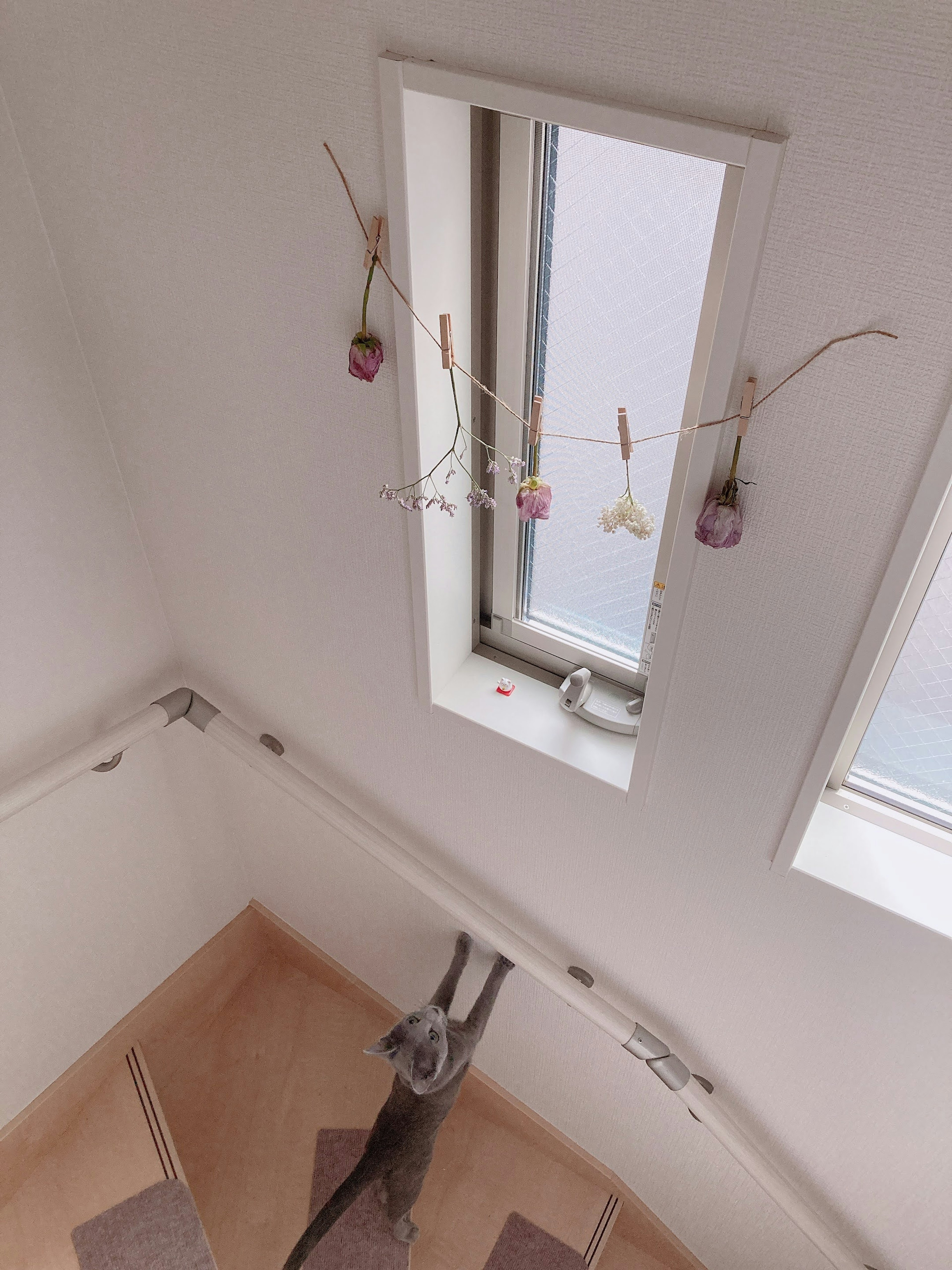 View from above of a staircase with a window and decorative dry flowers