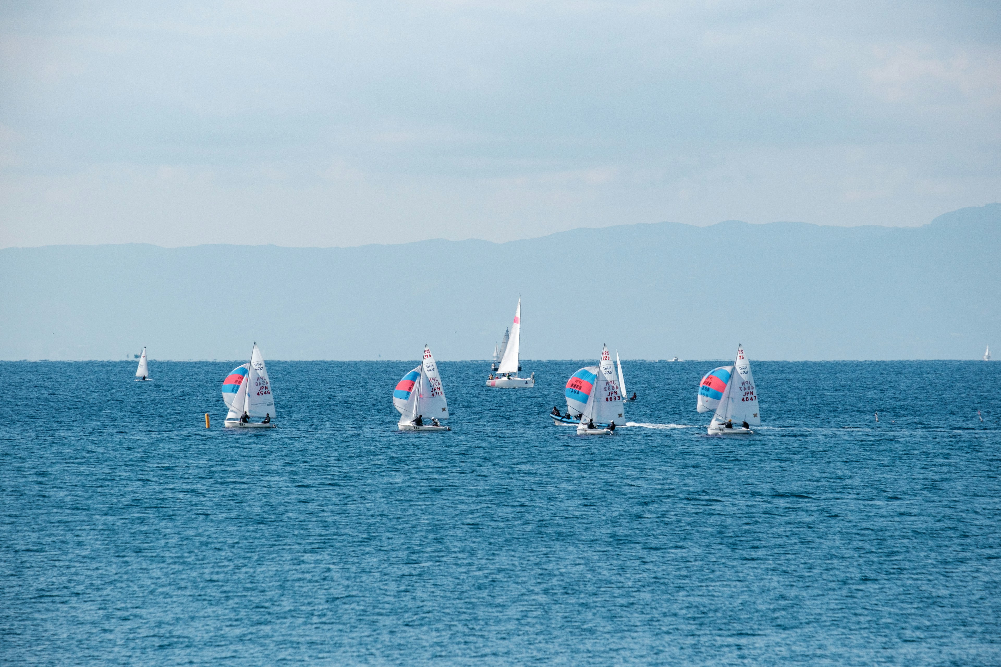 Multiple sailboats navigating on a blue sea with a distant horizon