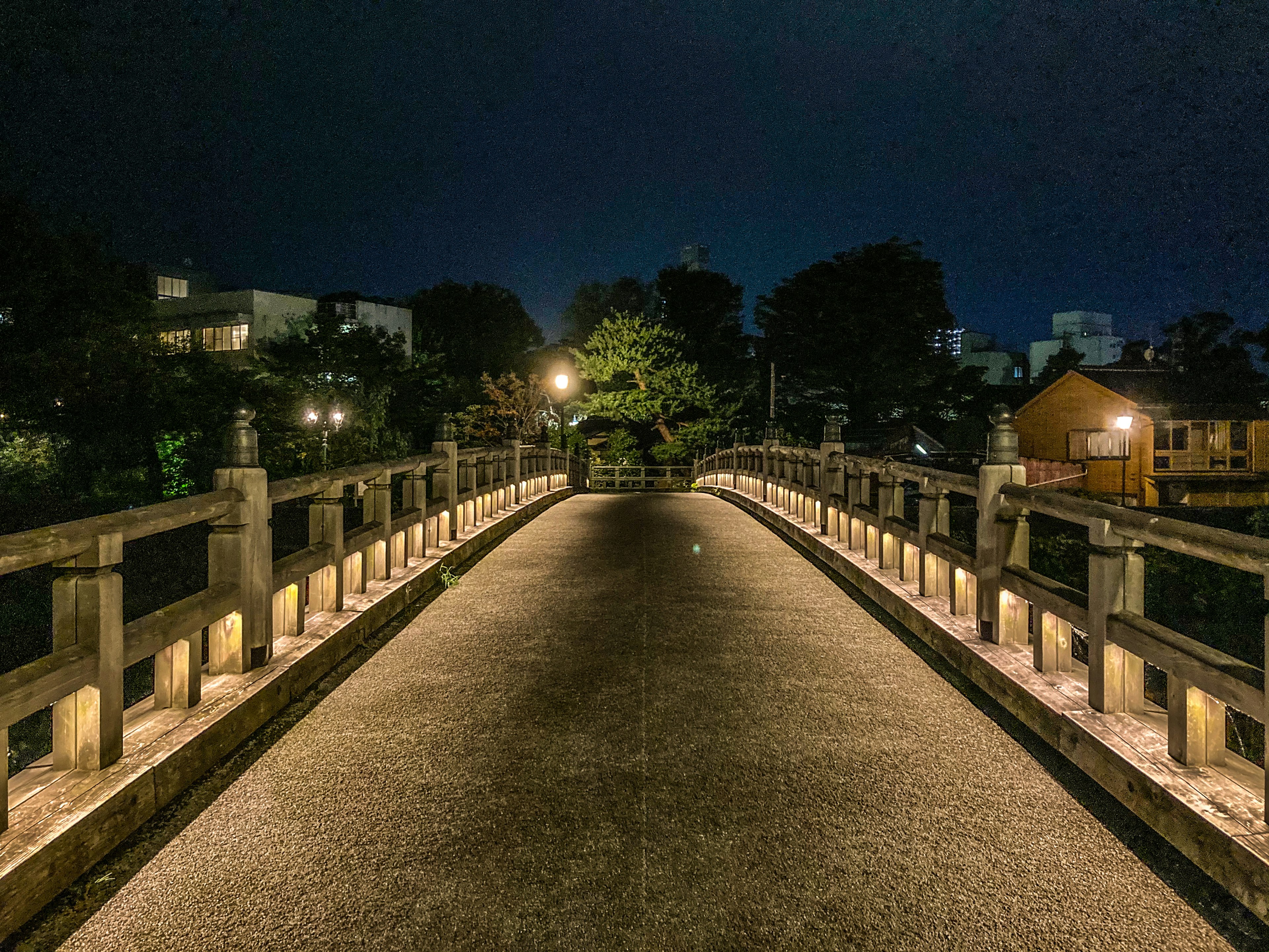 夜の橋の風景で、両側に照明があり、中央に木が見える