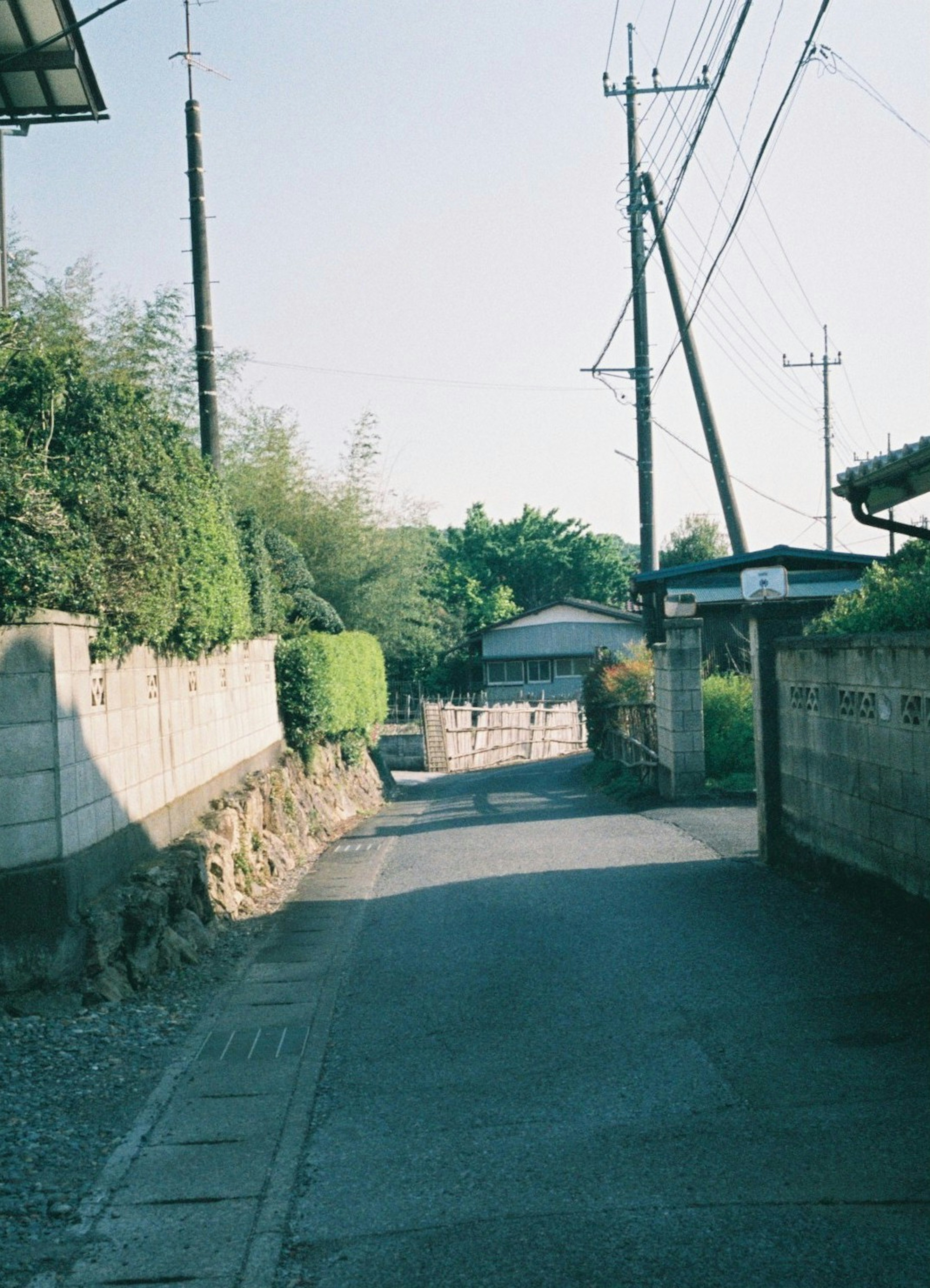 静かな住宅街の小道 緑の植え込みと塀が並ぶ