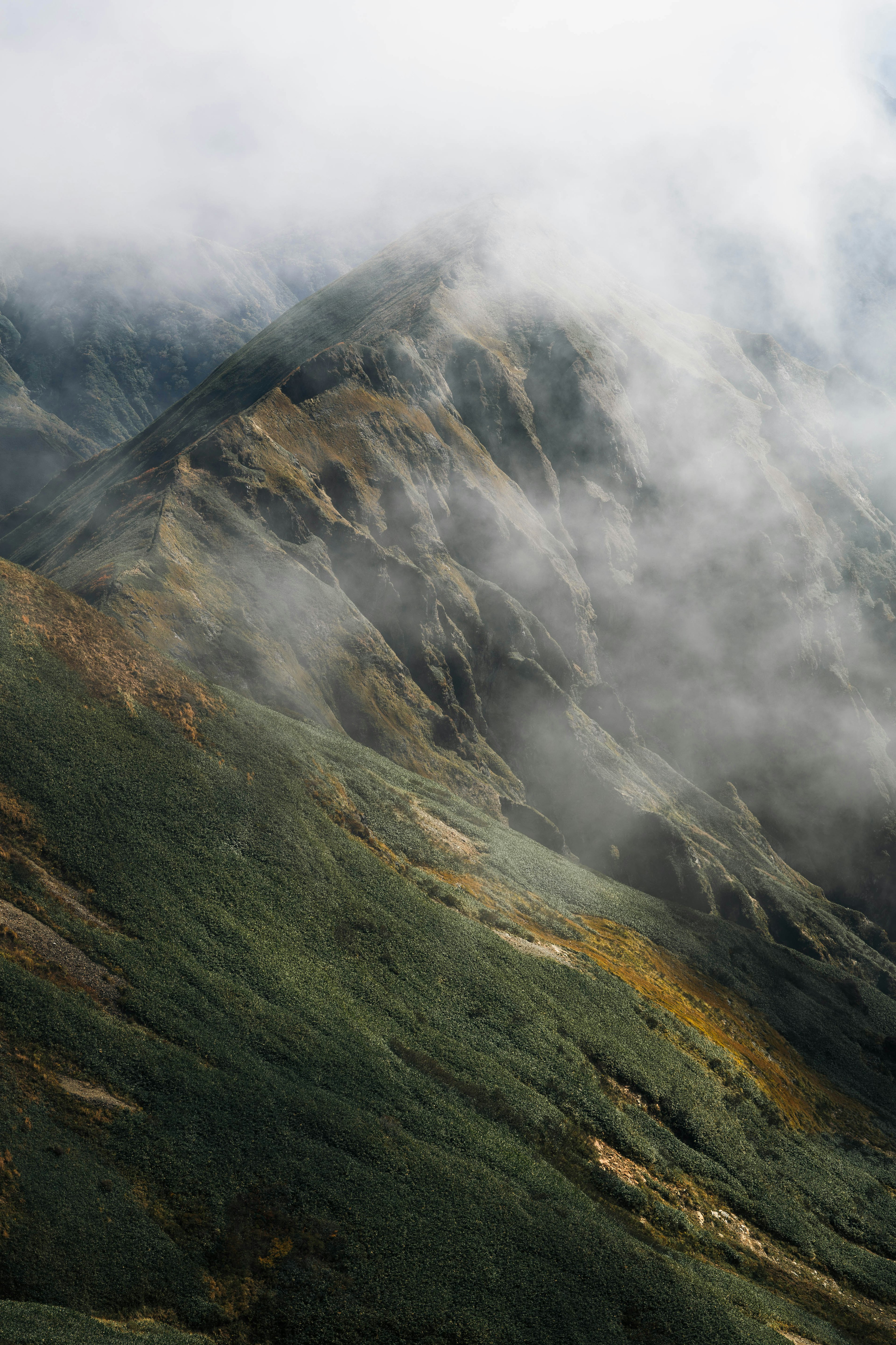 Bergabhänge, die in Nebel gehüllt sind, mit grüner Vegetation