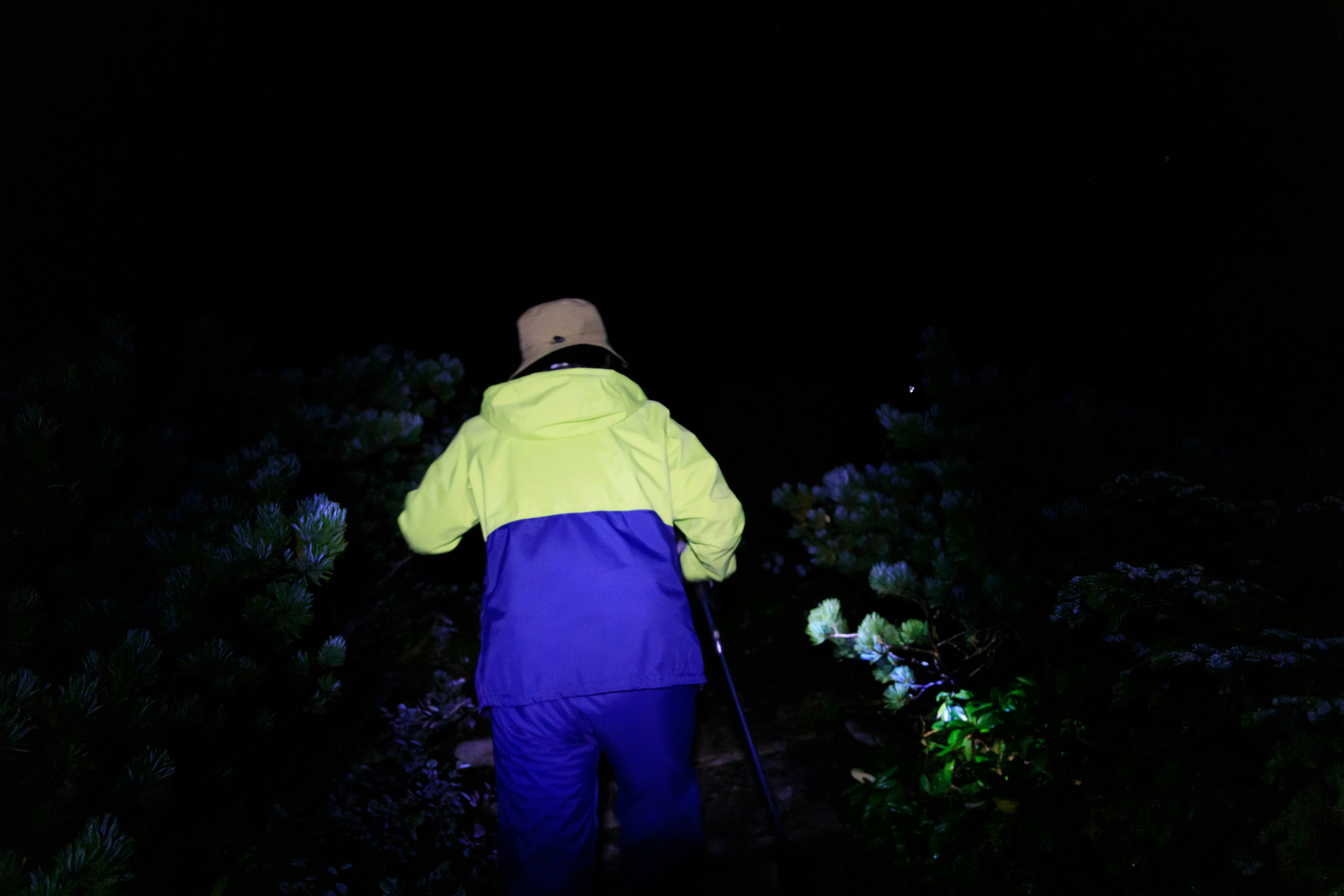 Orang yang mengenakan jaket kuning dan ungu berjalan dalam kegelapan