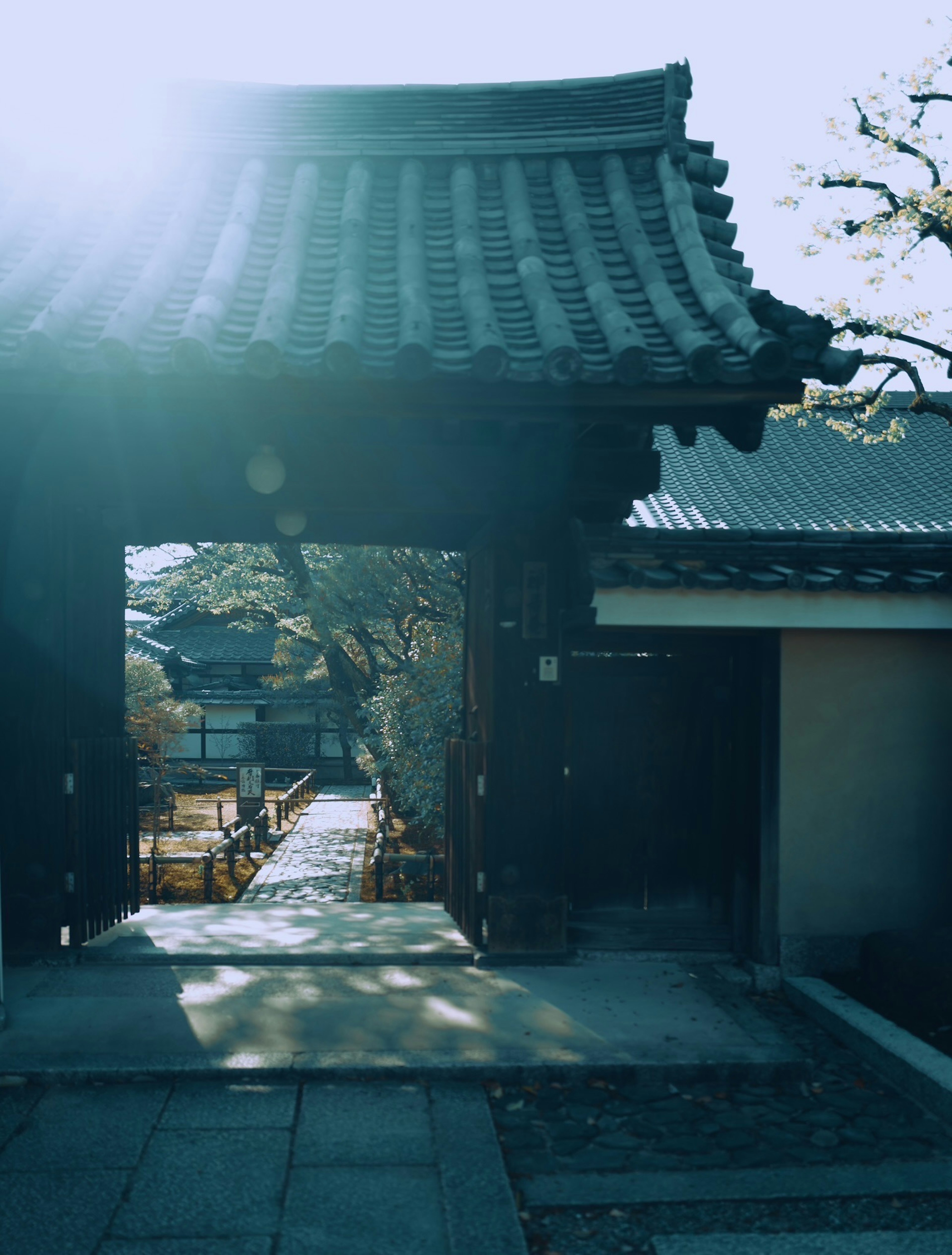 Traditional Japanese gate and garden in soft blue light