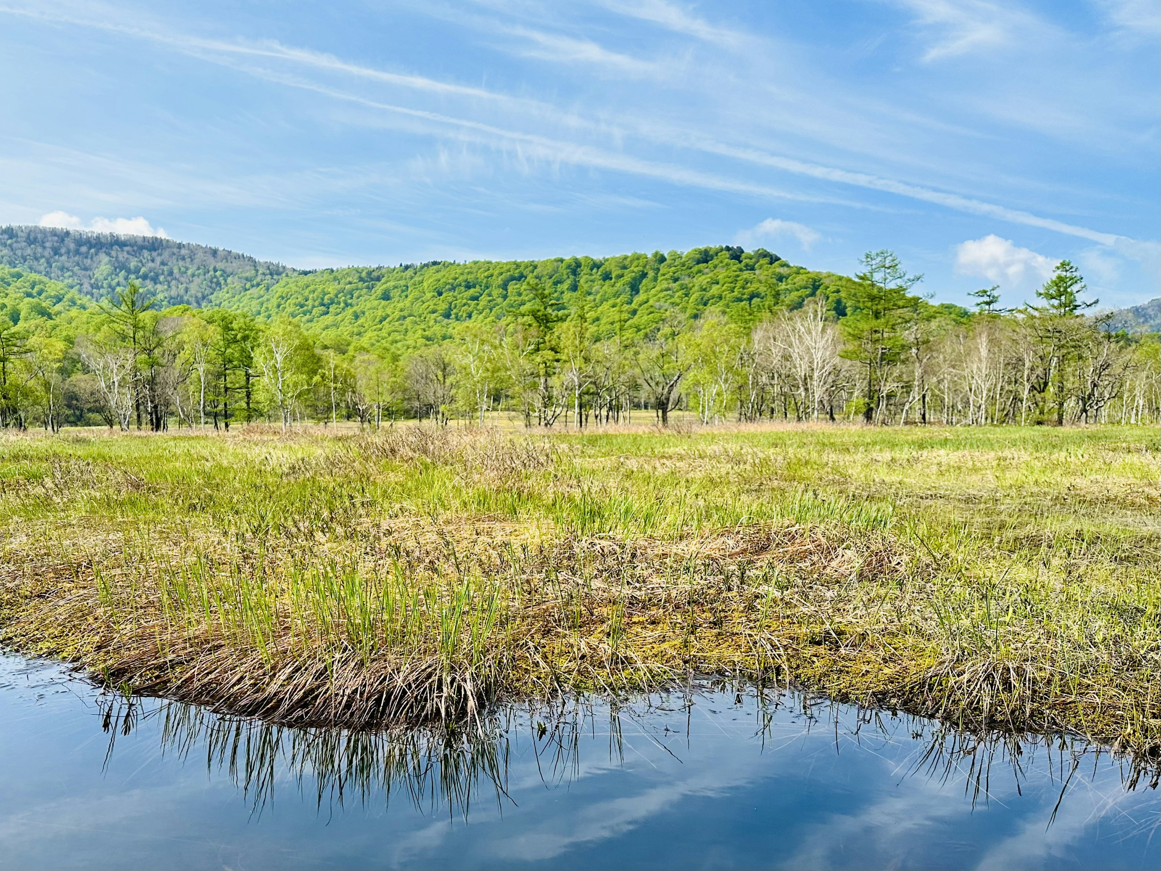 Paesaggio di palude con colline verdi e superficie d'acqua calma