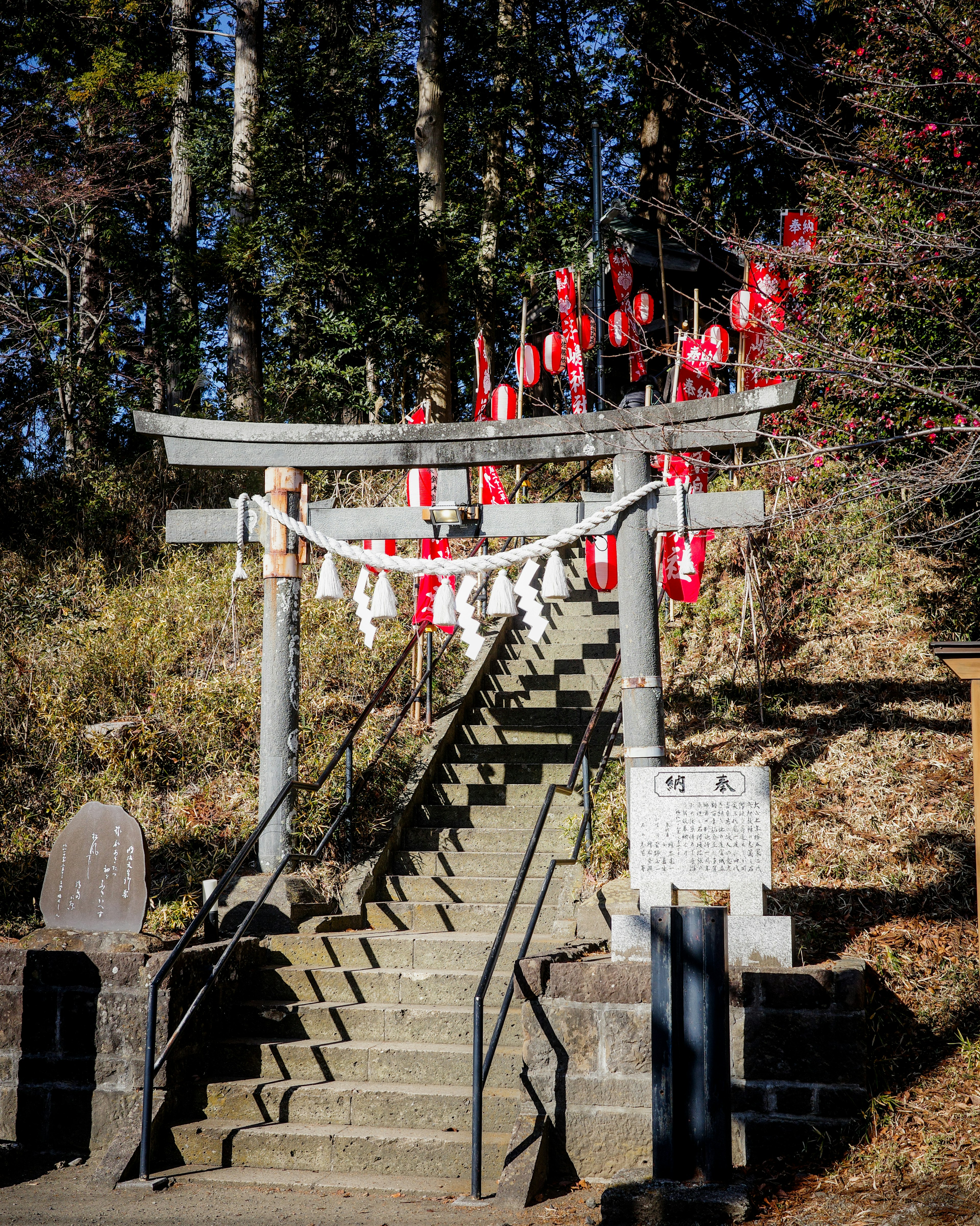 赤い布が飾られた鳥居の階段と周囲の自然