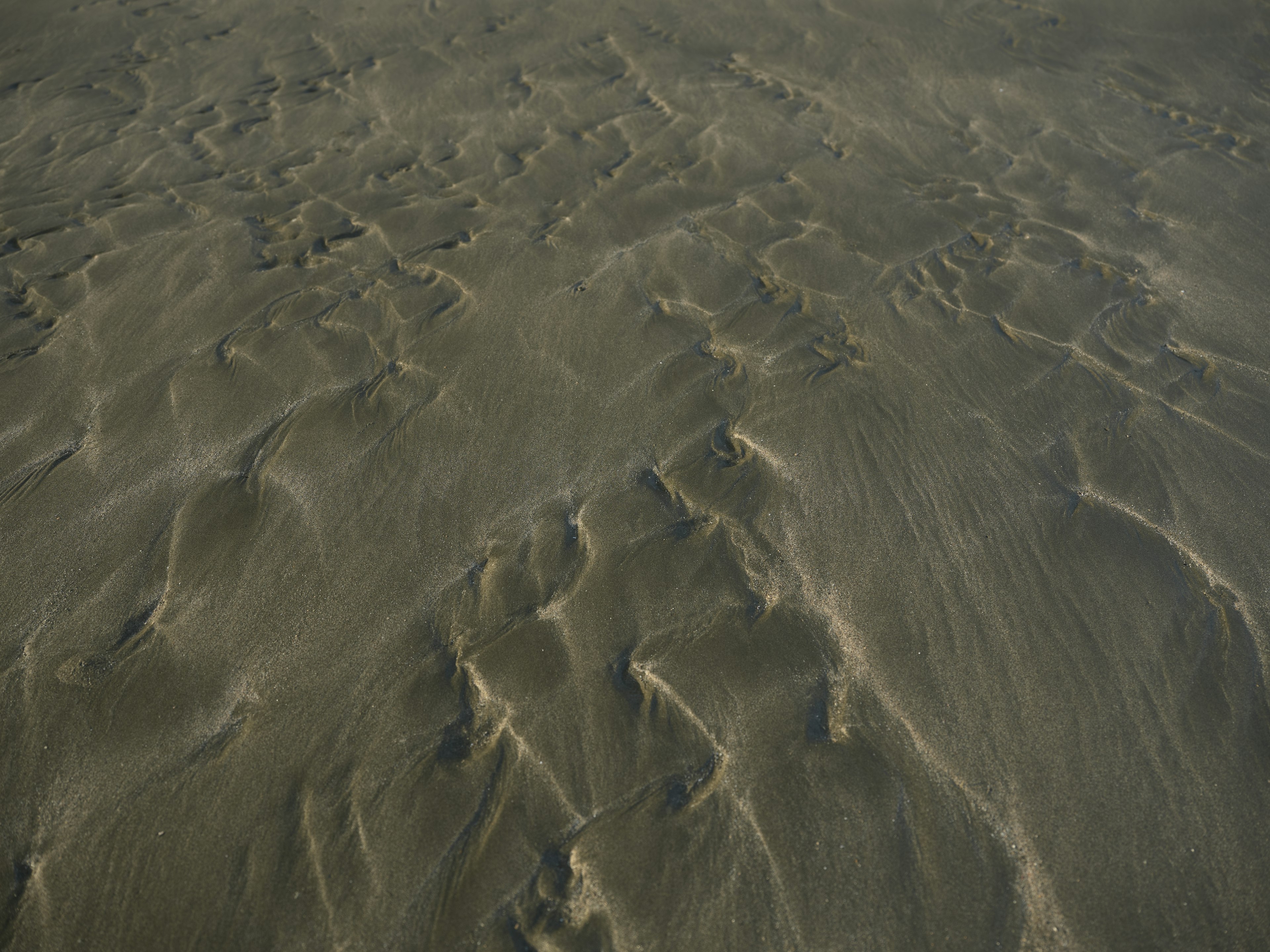 Beach landscape showing patterns in the sand