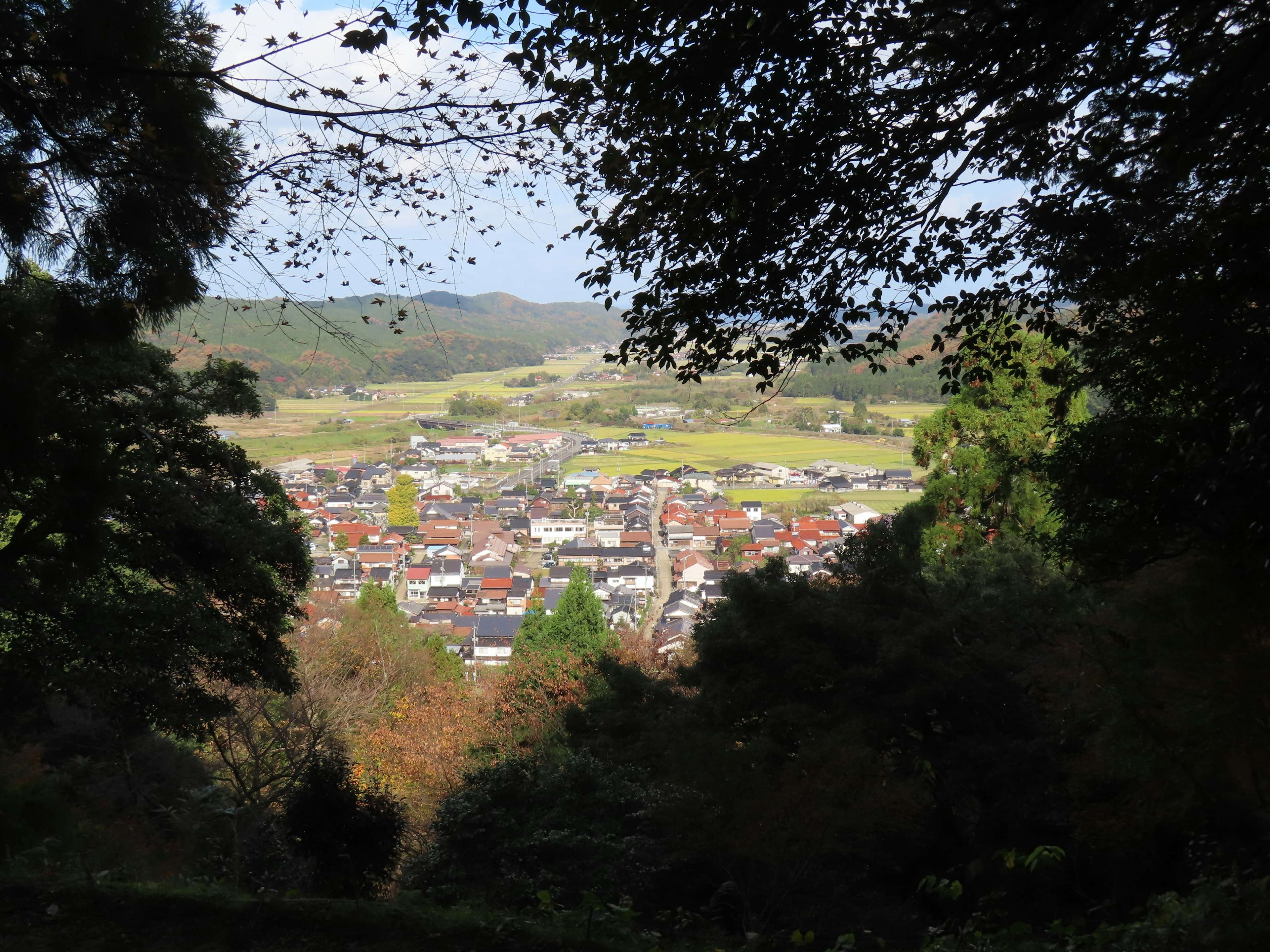 A view of a town surrounded by greenery and blue sky