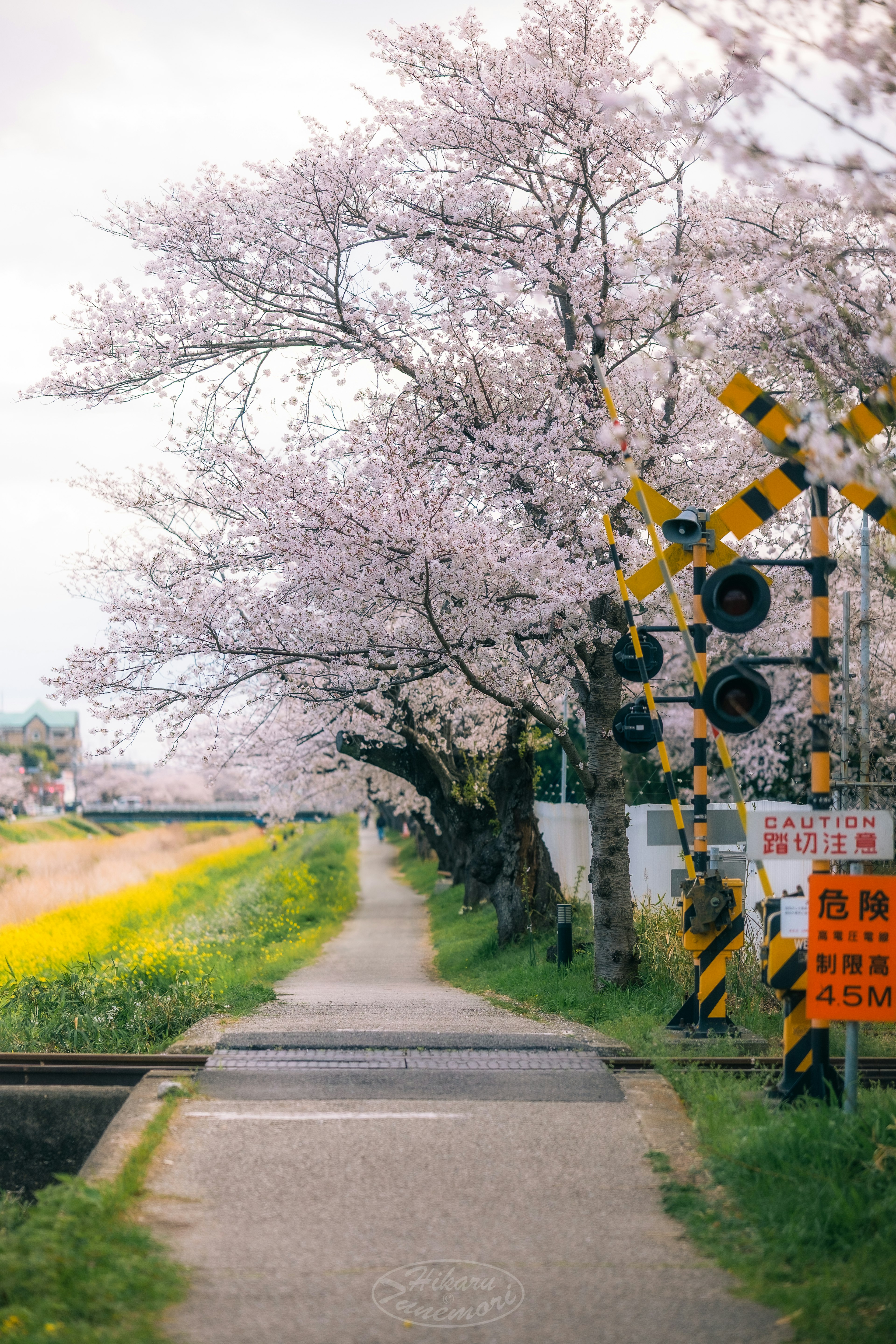 photo-wXKT5PjVWMdL5CSUISlM-image