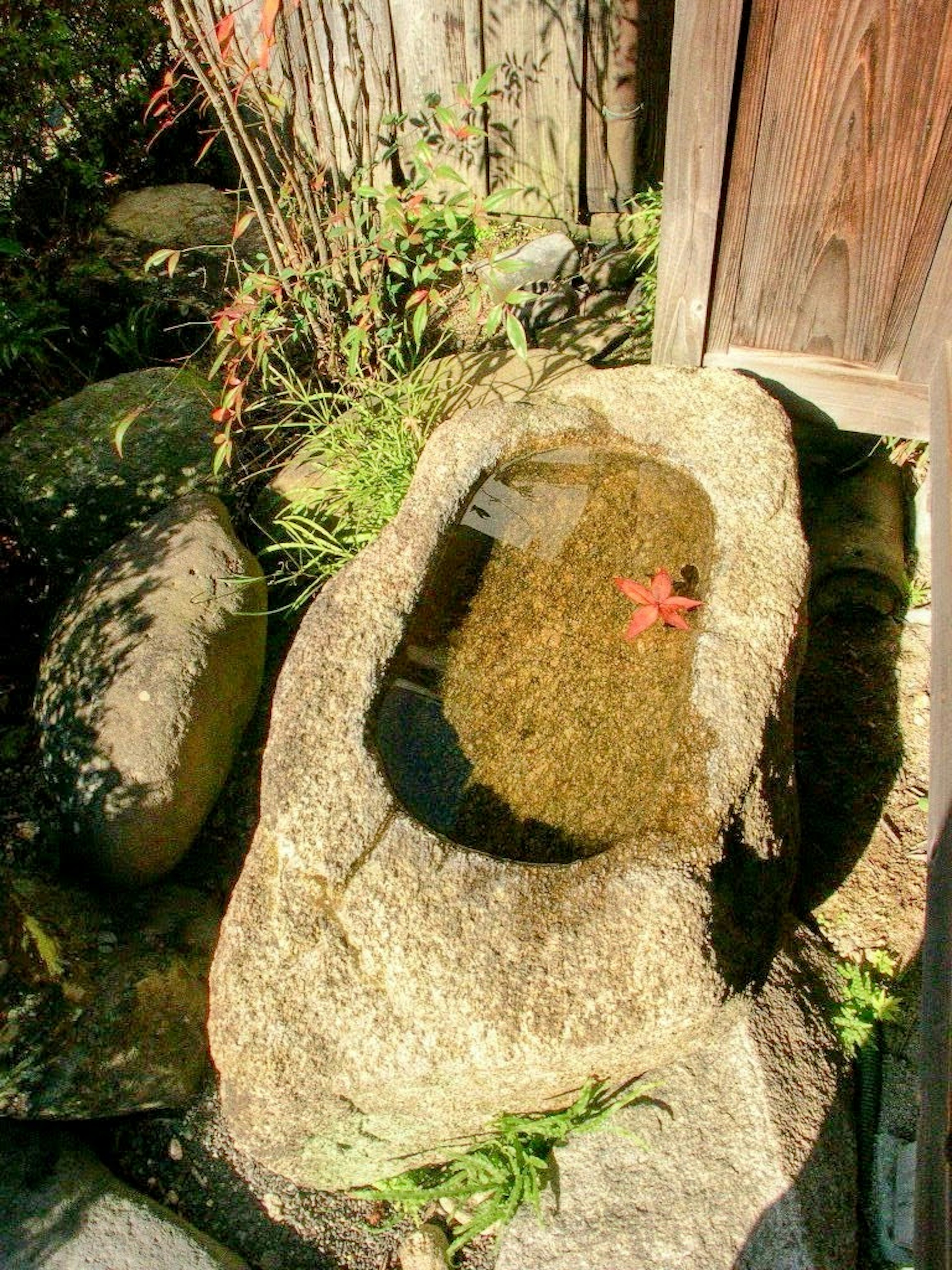 Stone basin in a garden reflecting a maple leaf on the water