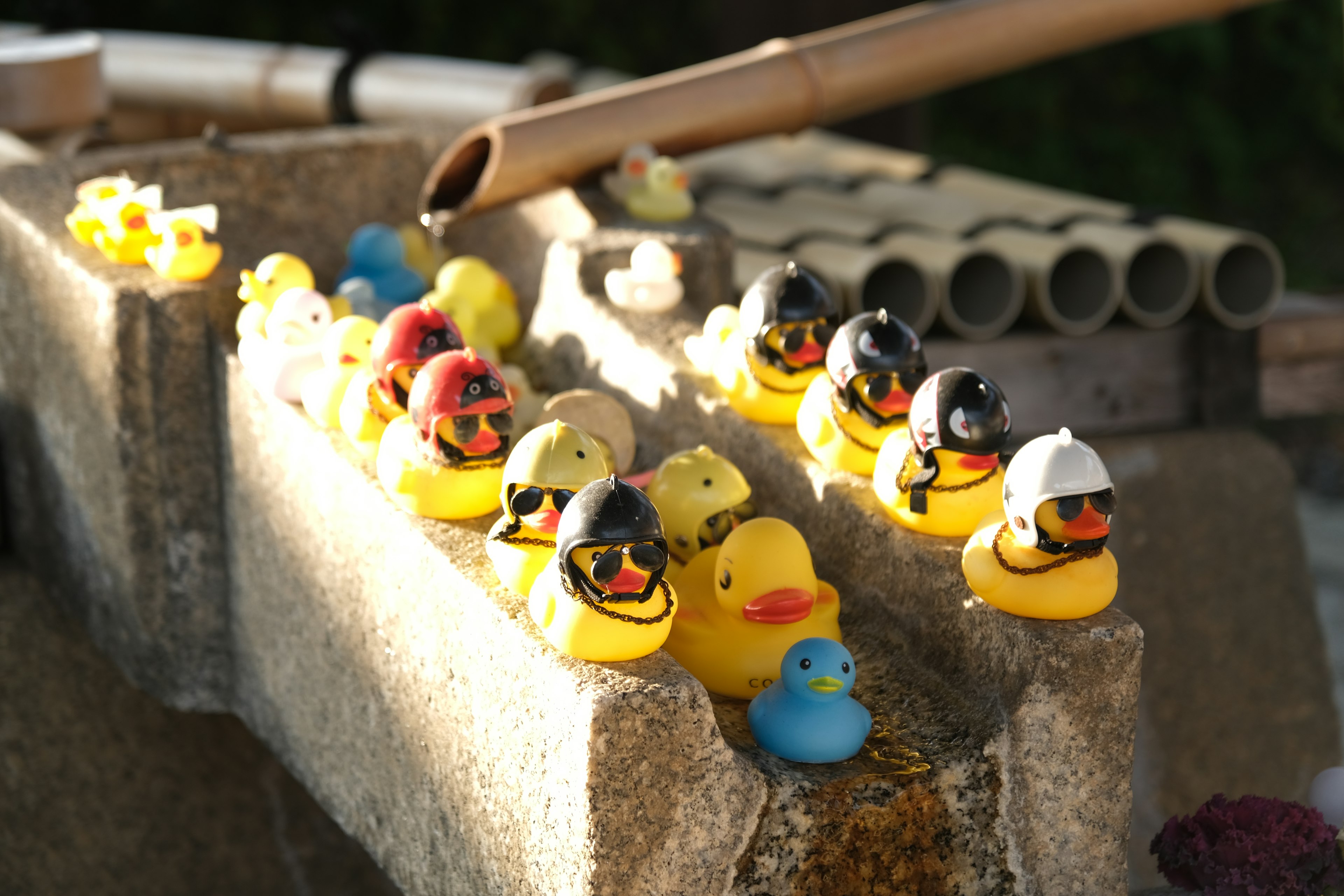 Patitos de goma coloridos alineados en un canal de piedra con agua fluyendo