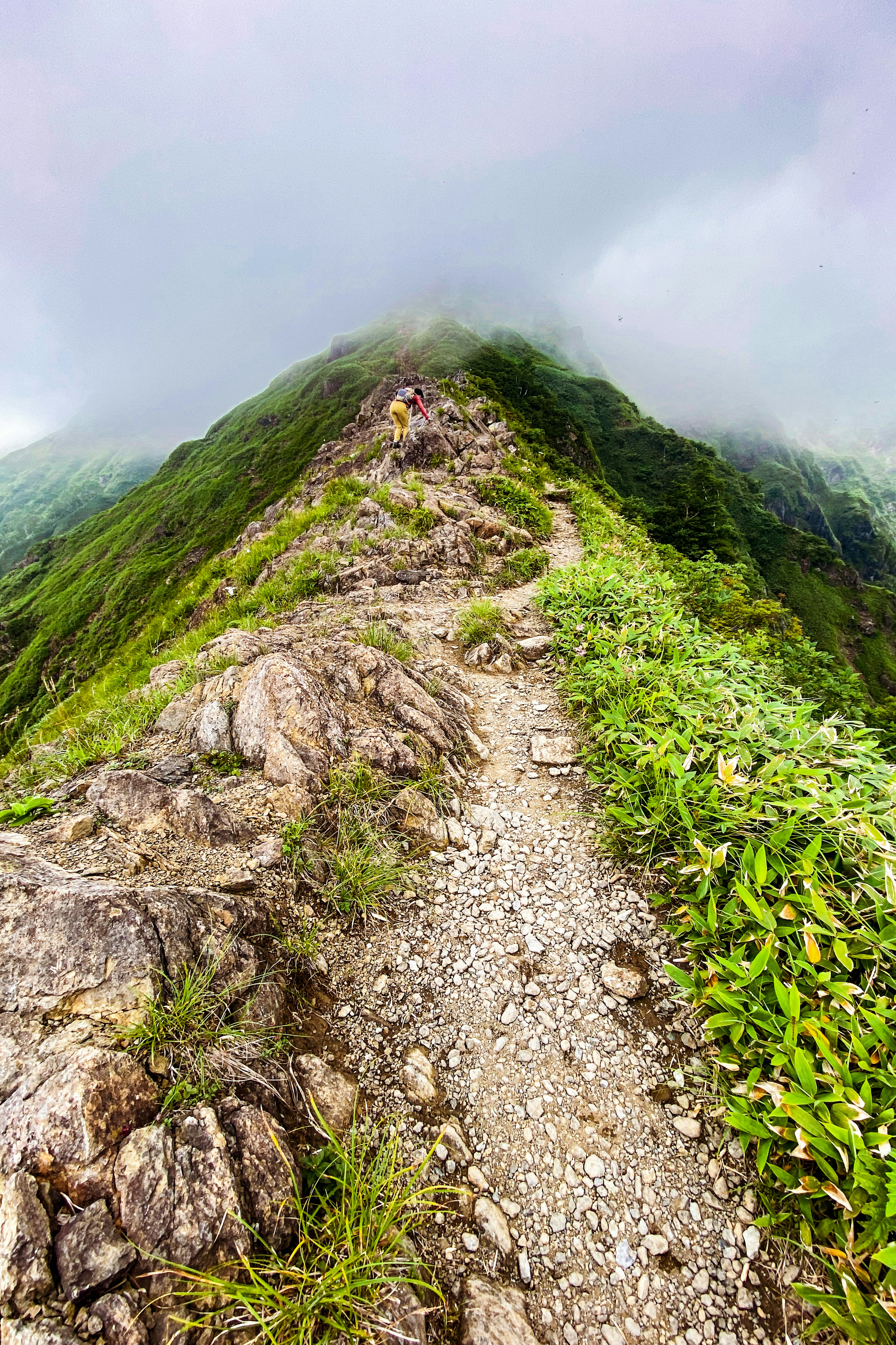 霧に覆われた山の尾根の小道が続く風景