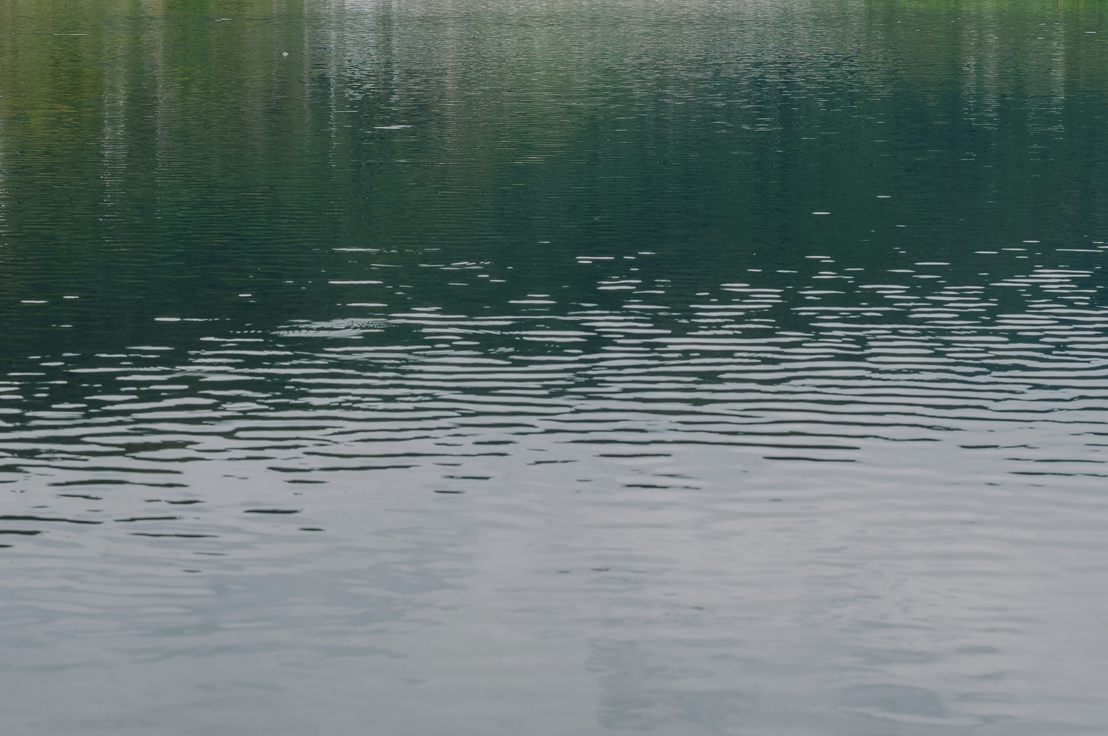 Calm water surface reflecting green scenery