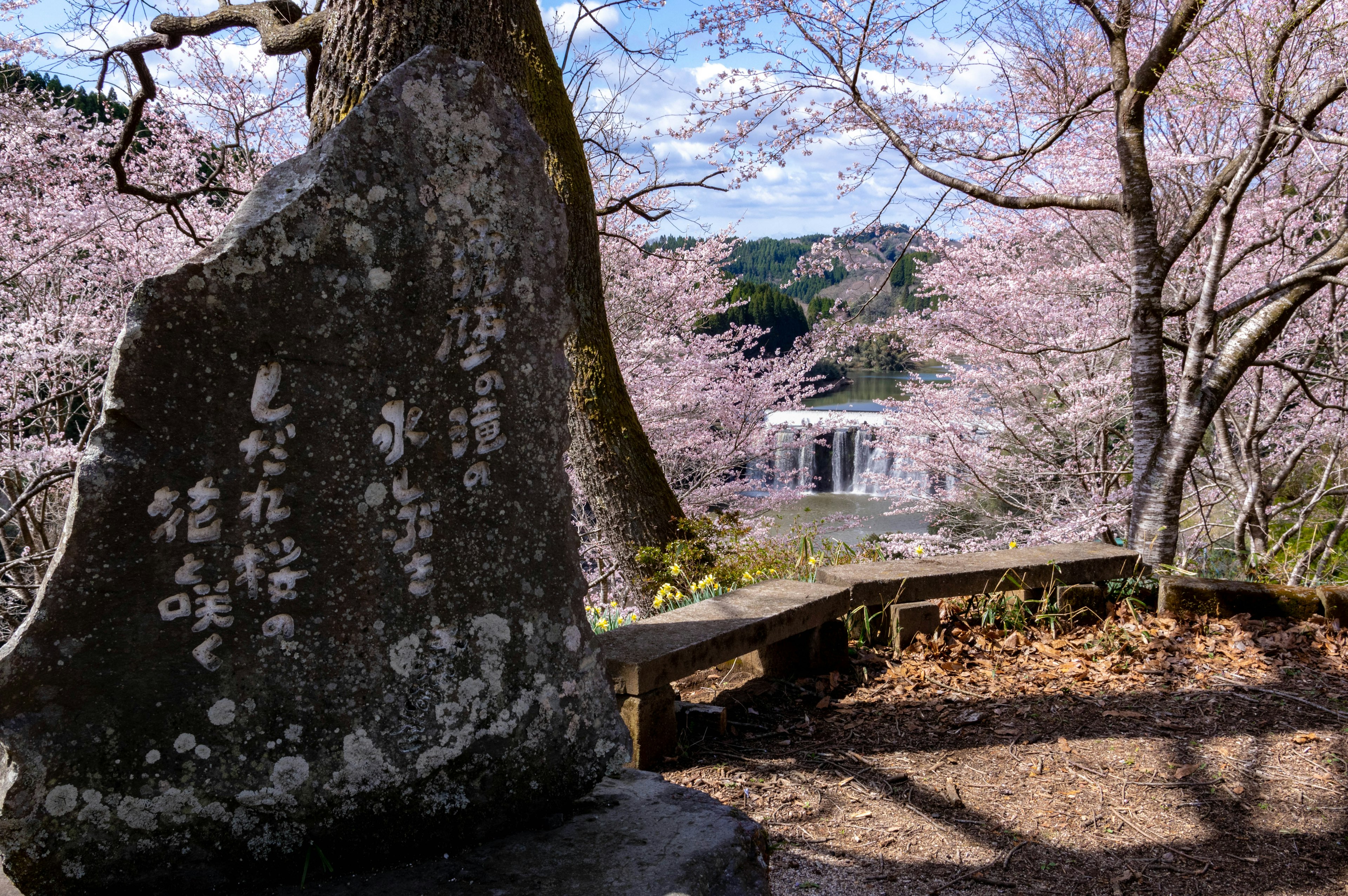 Malersiche Aussicht auf ein Steindenkmal mit Kirschblüten und einem Wasserfall im Hintergrund