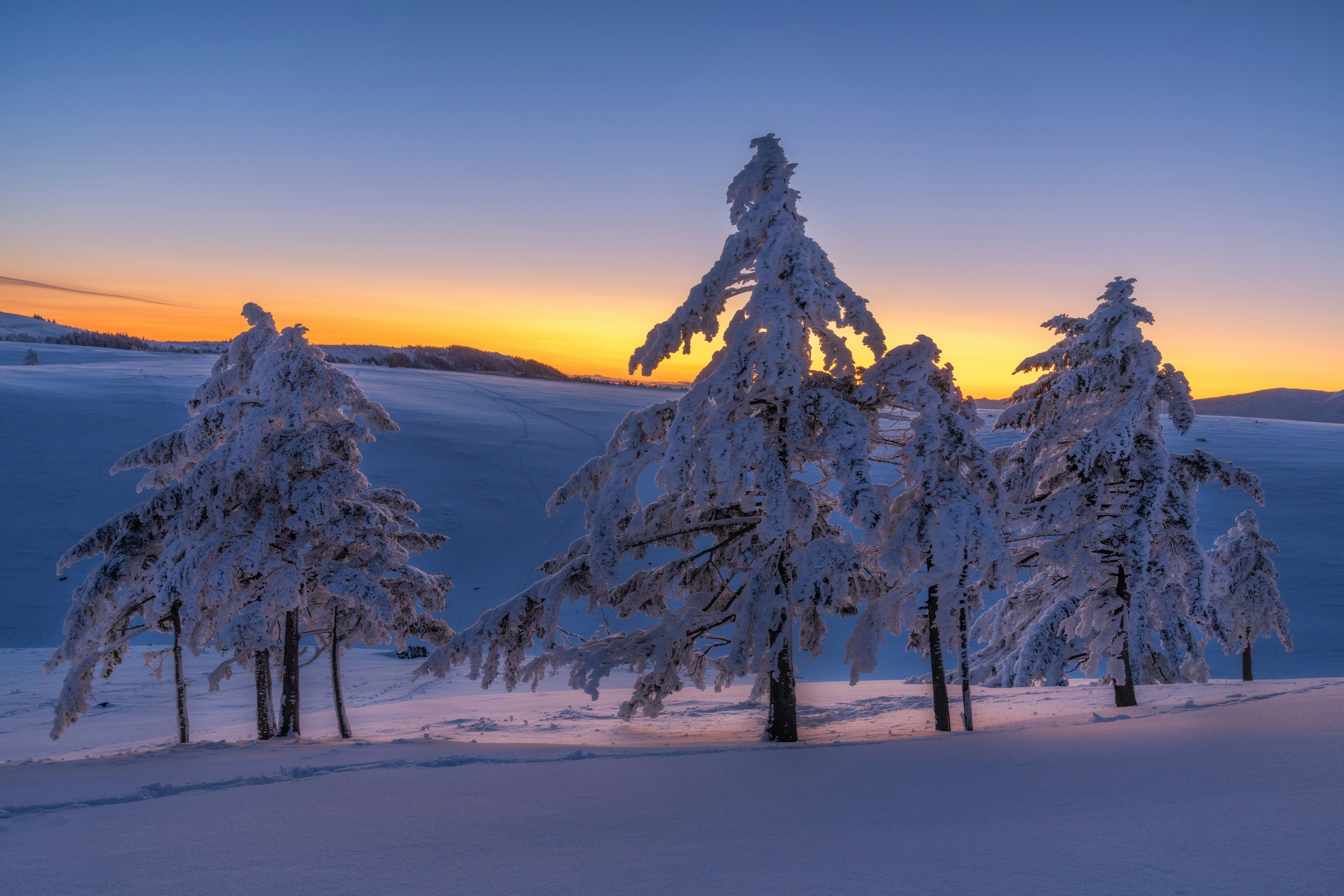 Árboles cubiertos de nieve contra un atardecer colorido