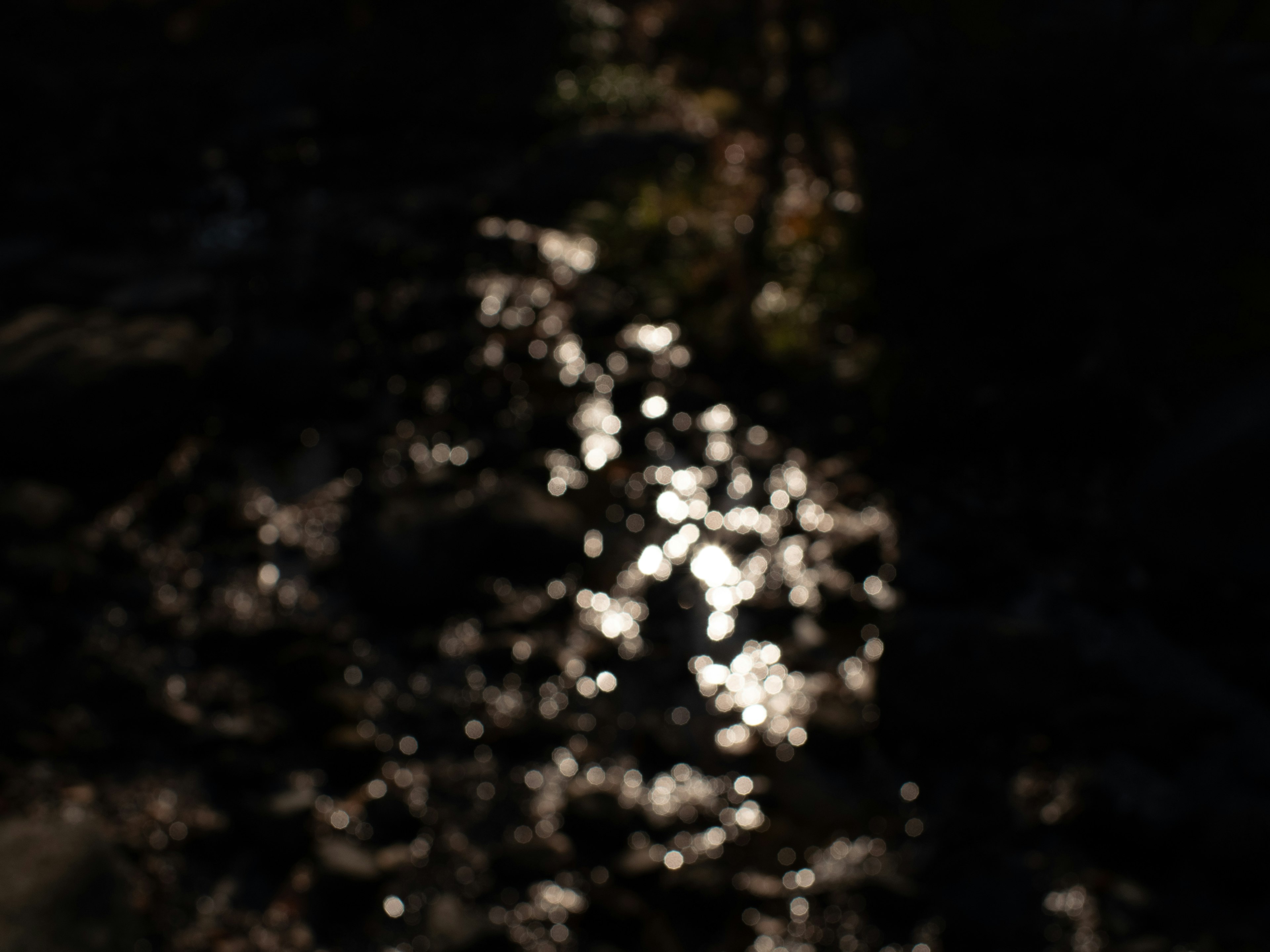 Imagen borrosa que muestra reflejos de luz en una superficie de agua