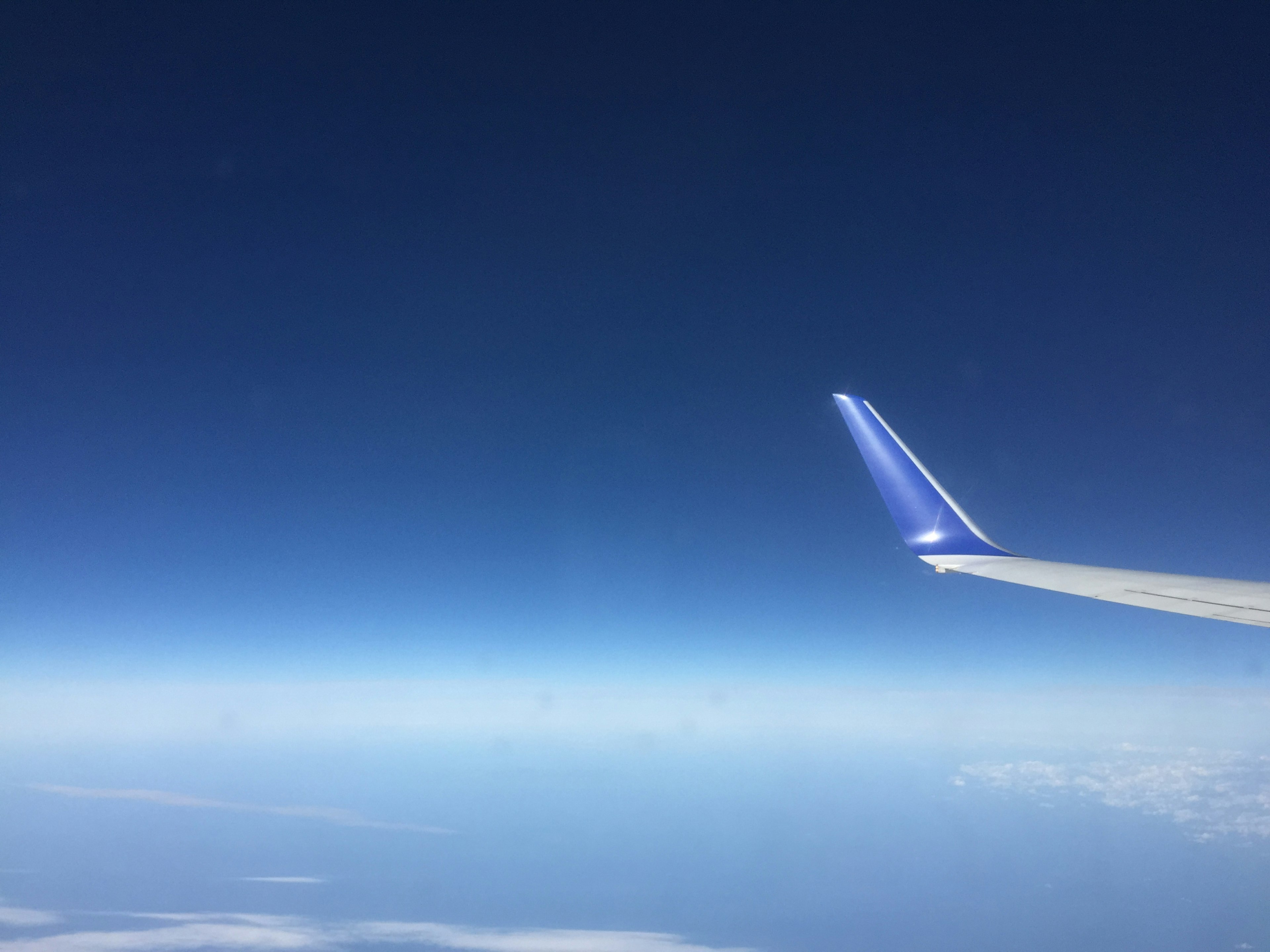 青い空と飛行機の翼の写真