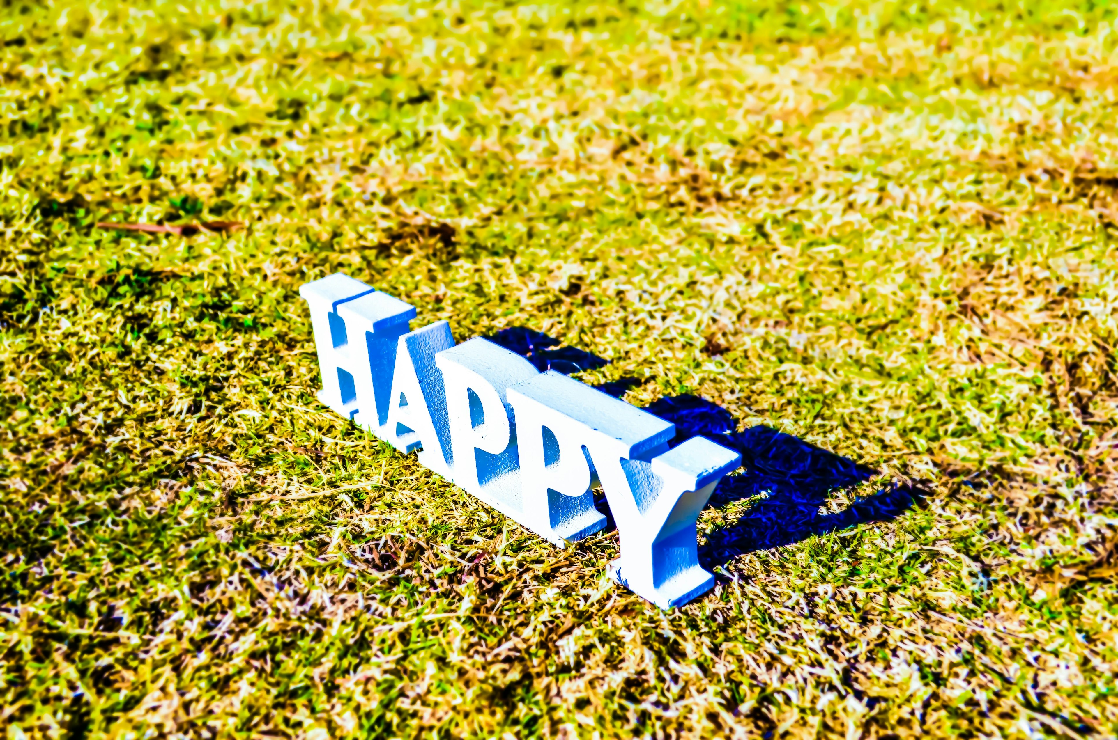 La parola 'HAPPY' in lettere blu posata su un terreno erboso