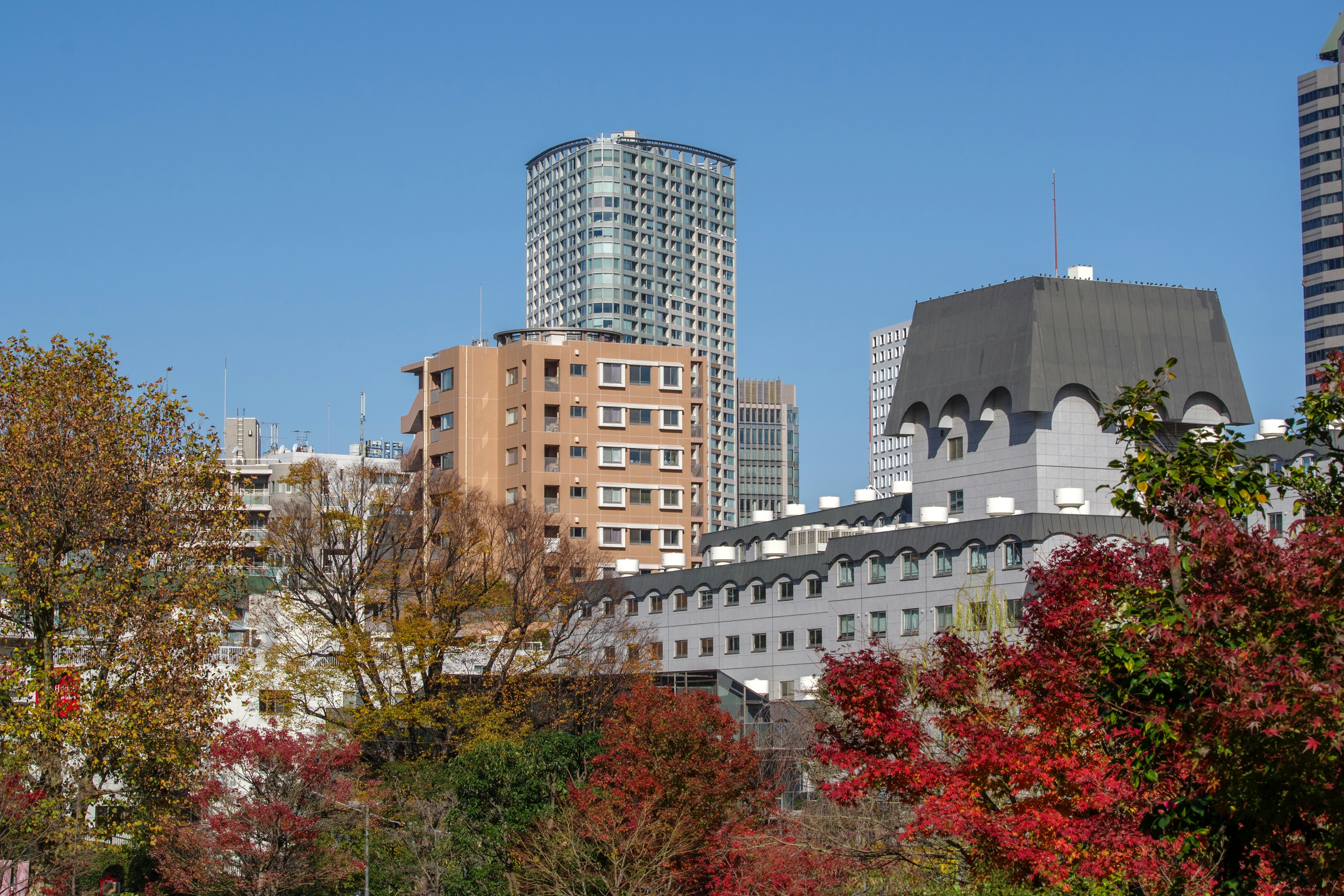 Paisaje urbano con follaje de otoño y rascacielos