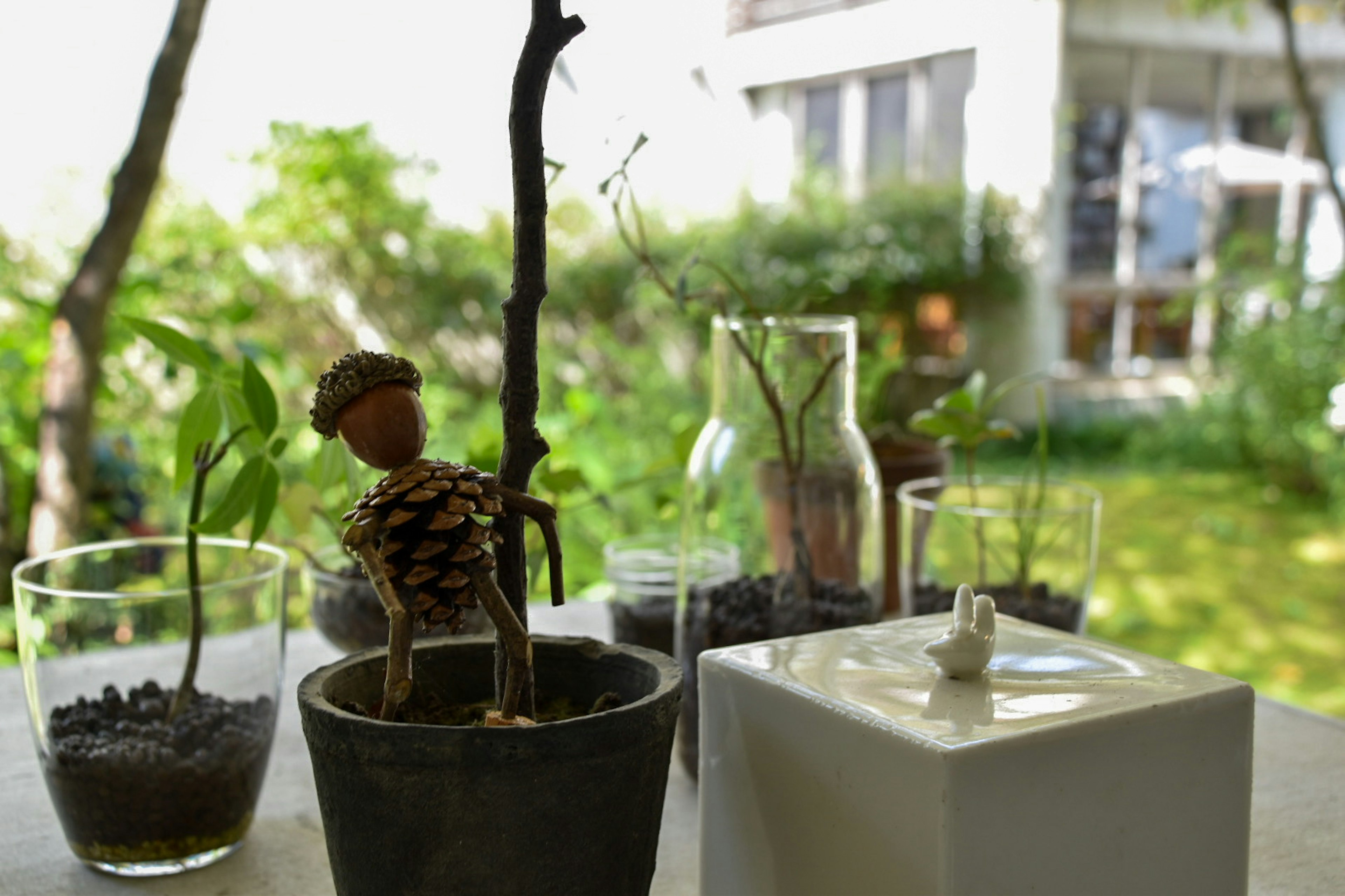 Une scène sur le rebord de la fenêtre avec des plantes et une petite figurine entourée de contenants en verre et de pots sur fond vert