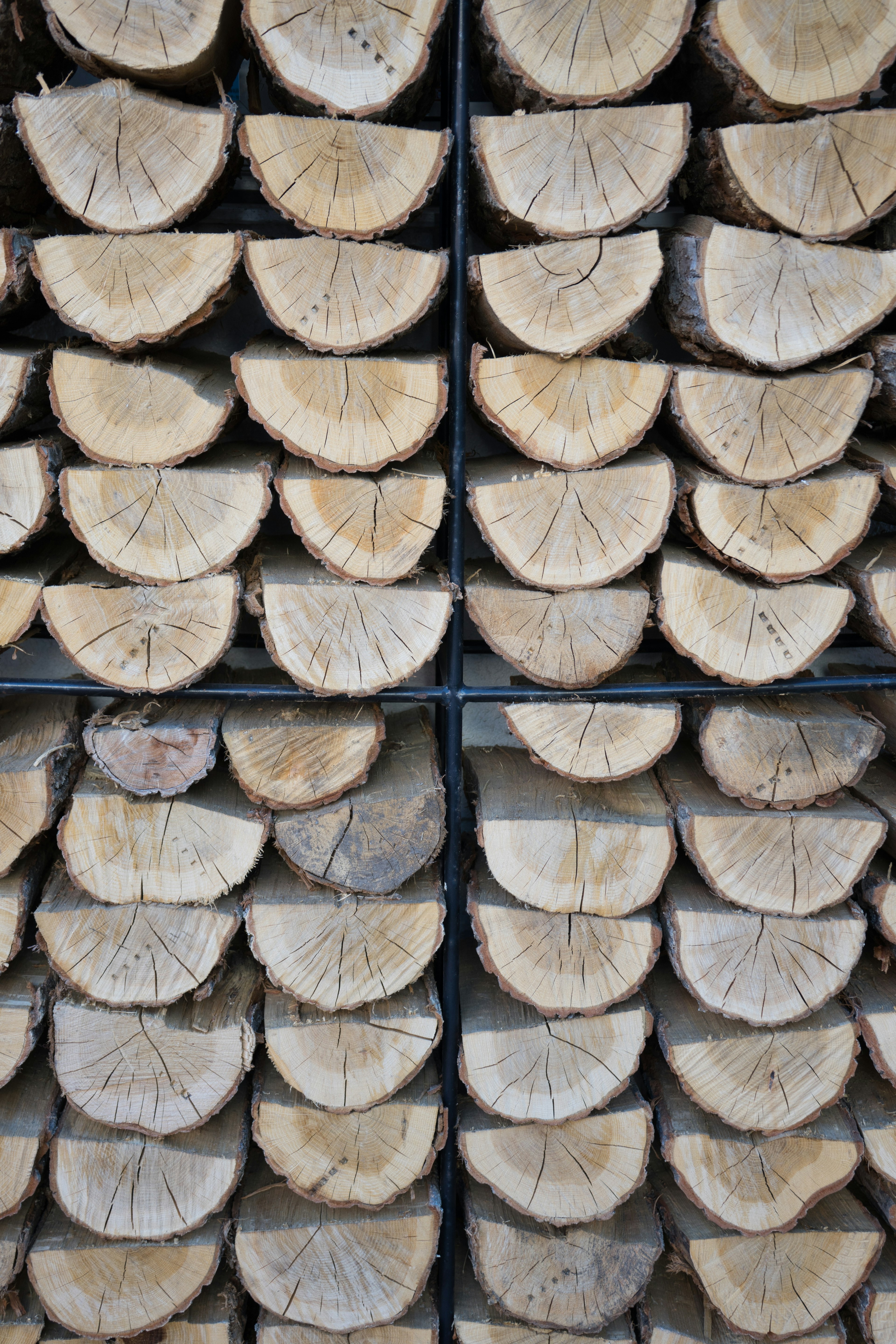 Stacked circular cross-sections of wood logs arranged neatly