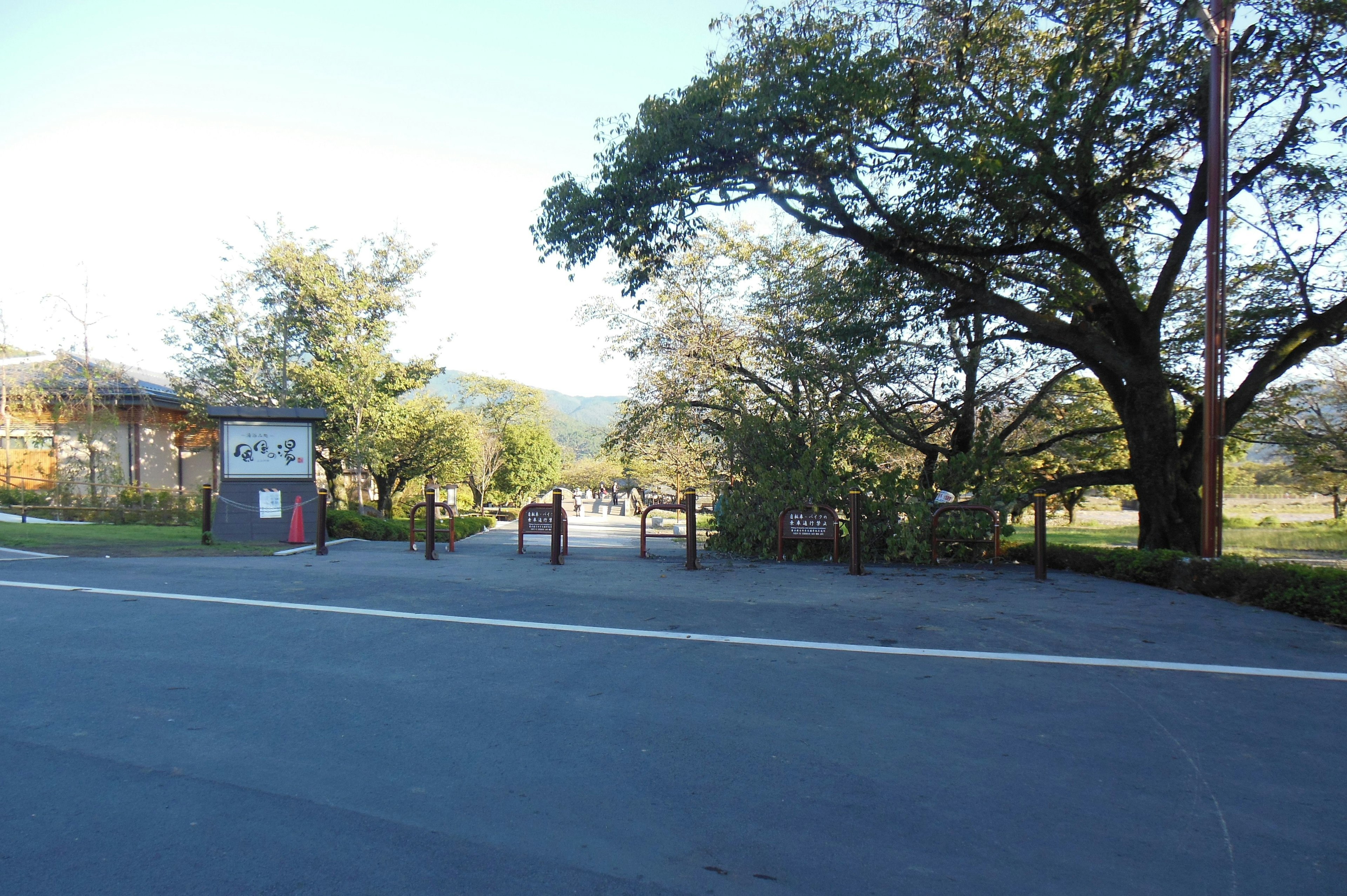 Scenic entrance surrounded by lush greenery and trees