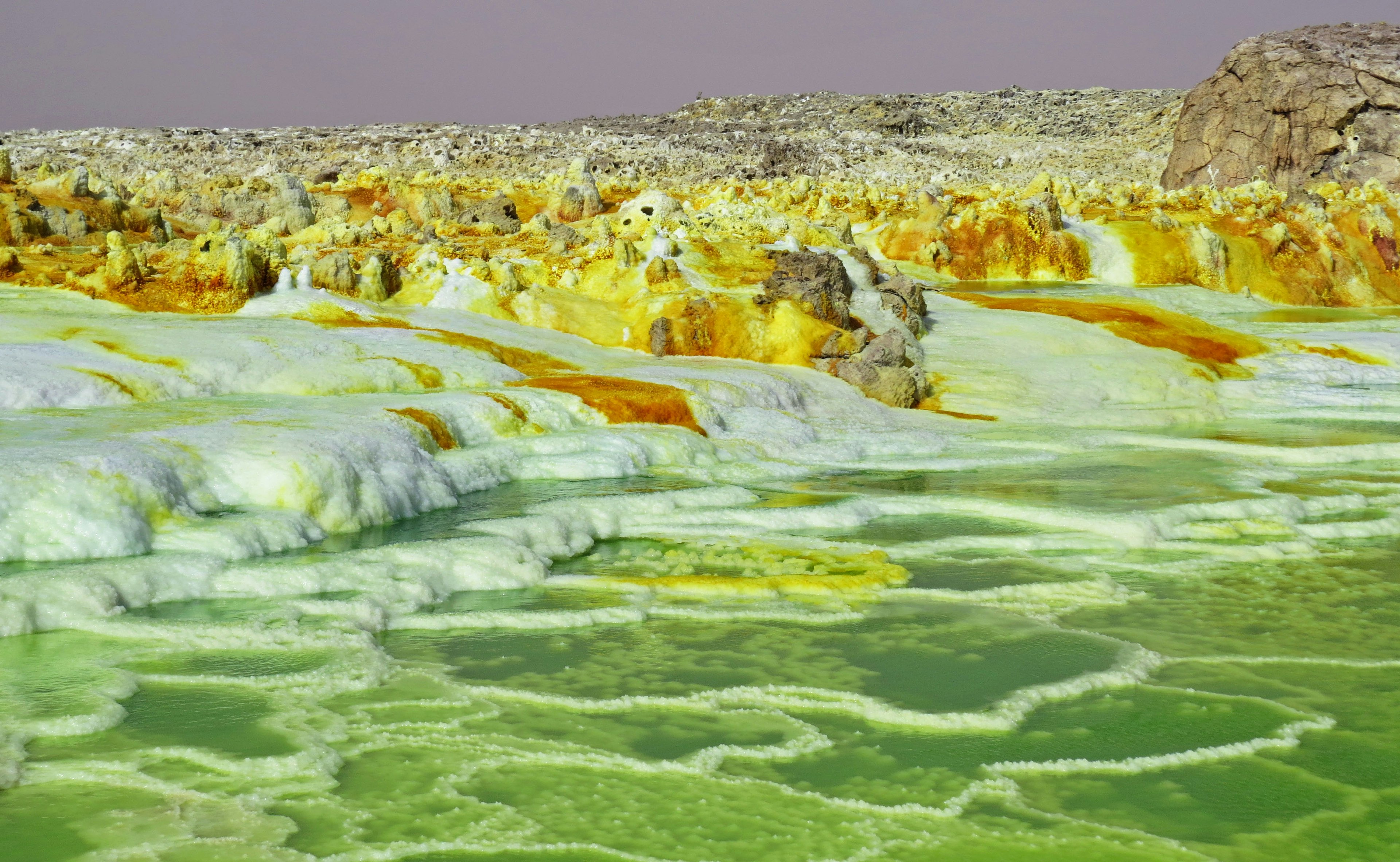 Paysage de la mer Morte avec de l'eau verte et des minéraux jaunes