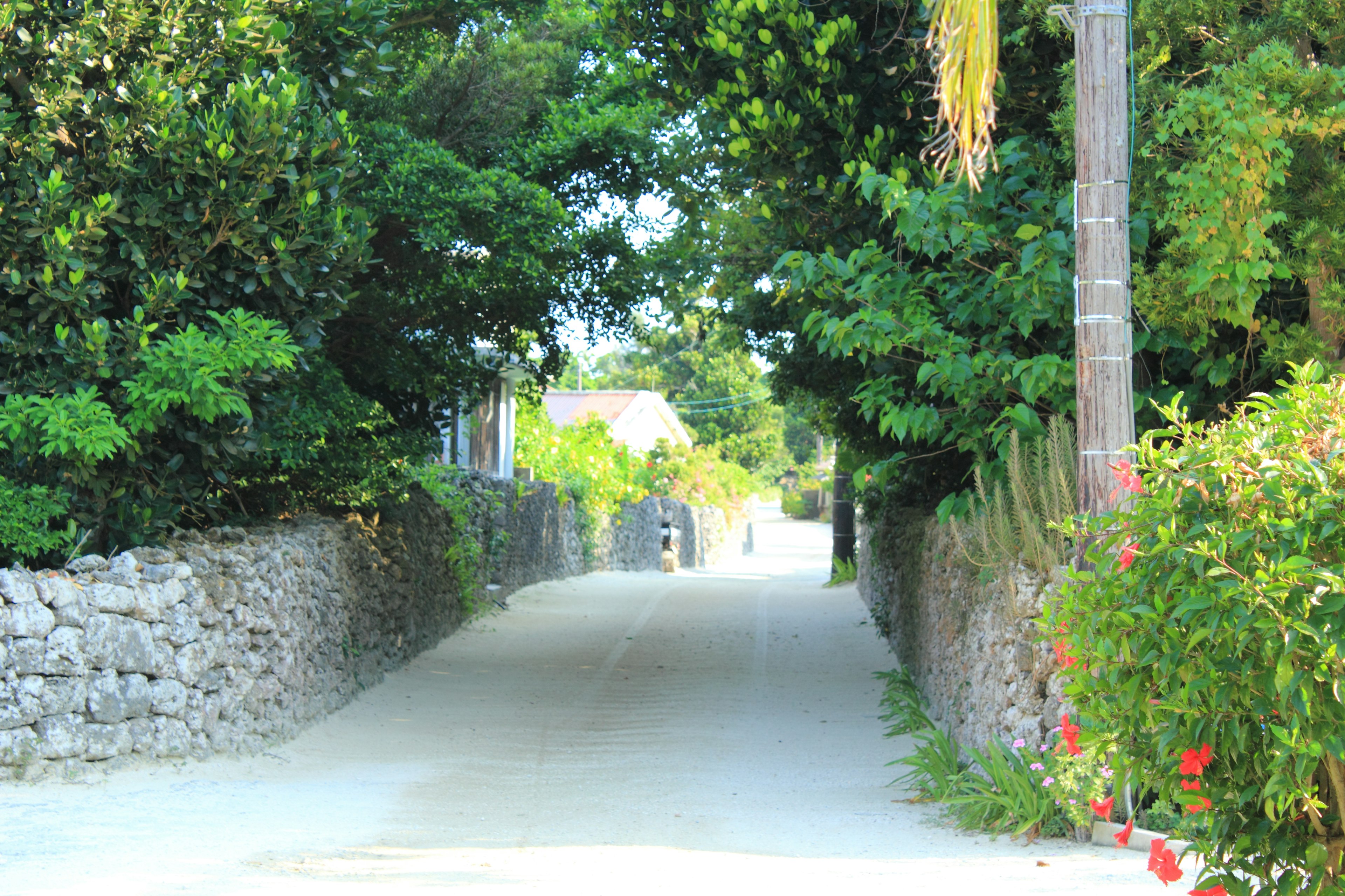 A tranquil pathway surrounded by lush greenery and stone walls