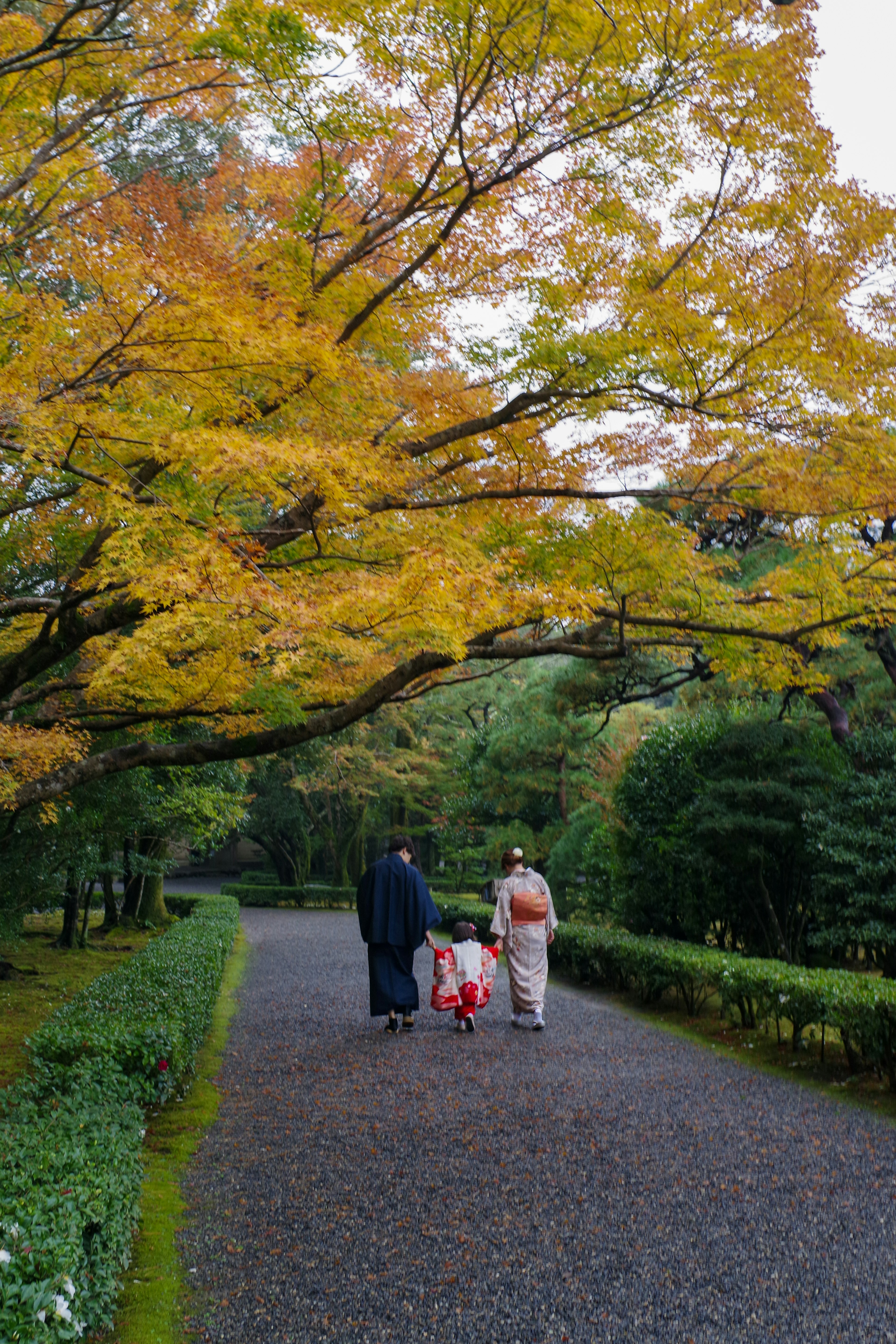 Famiglia che passeggia sotto il fogliame autunnale in un giardino