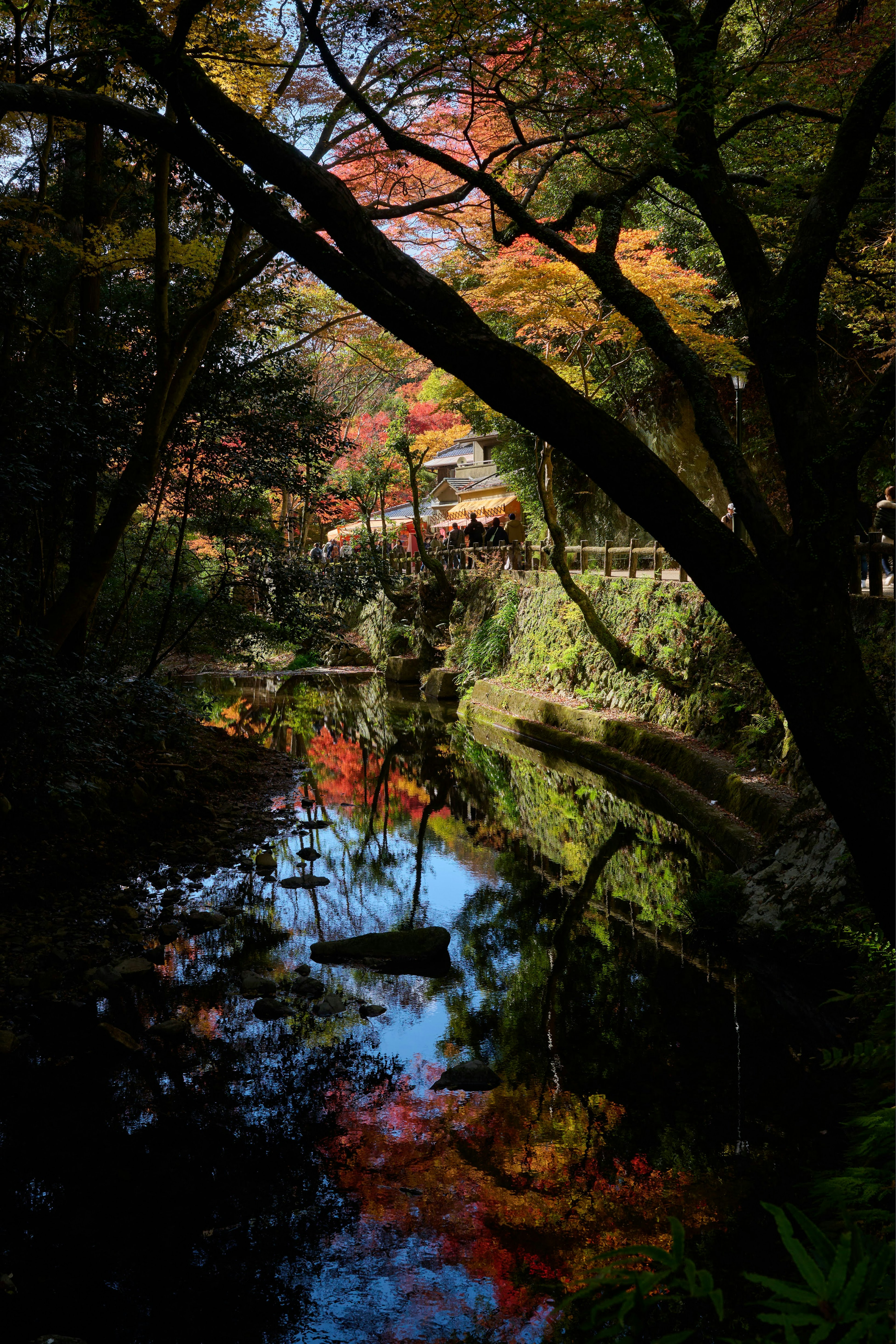 Scenic autumn landscape with reflections in a pond and colorful trees