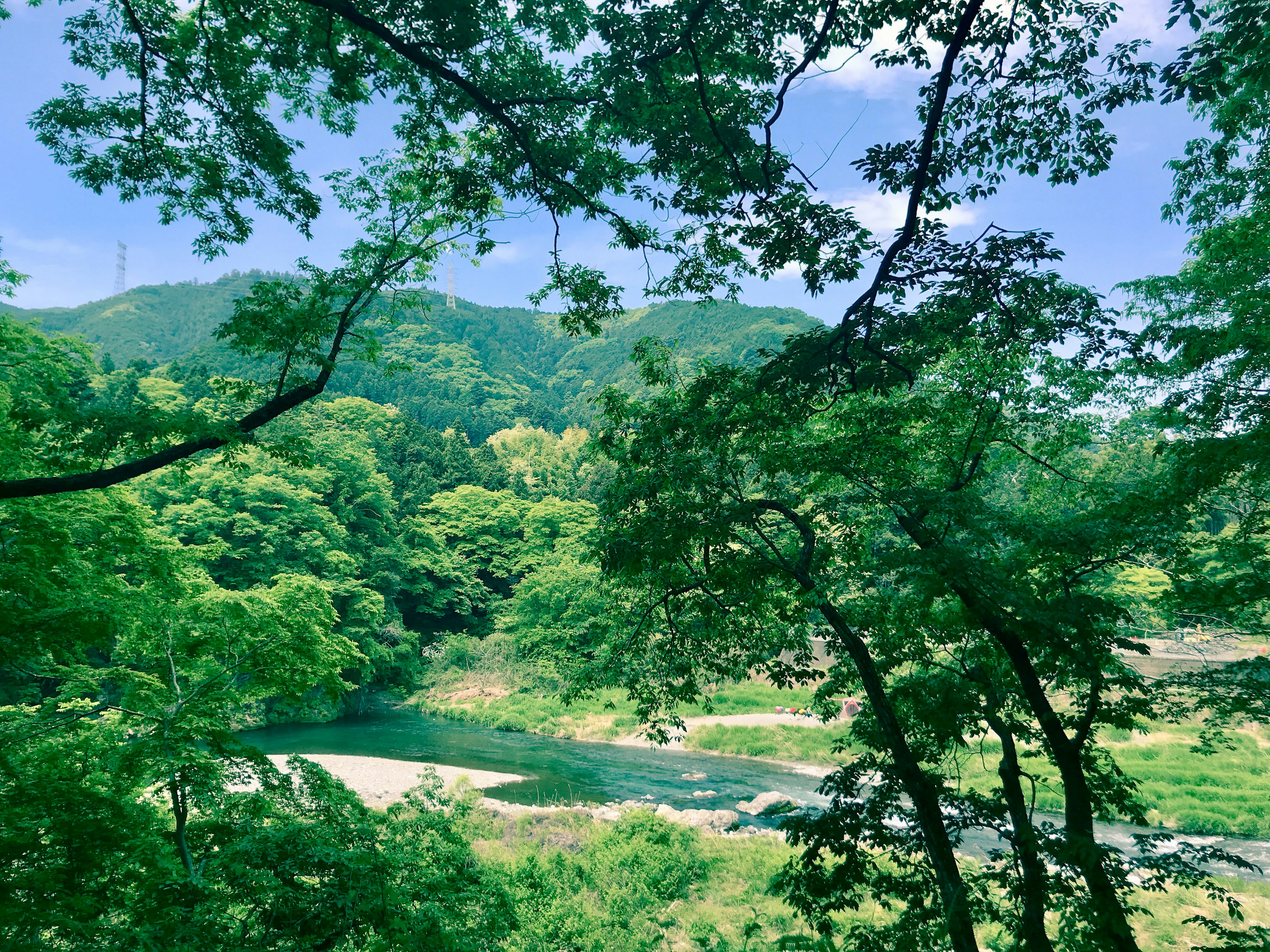 寧靜的河流景觀，四周環繞著郁郁蔥蔥的樹木和藍天