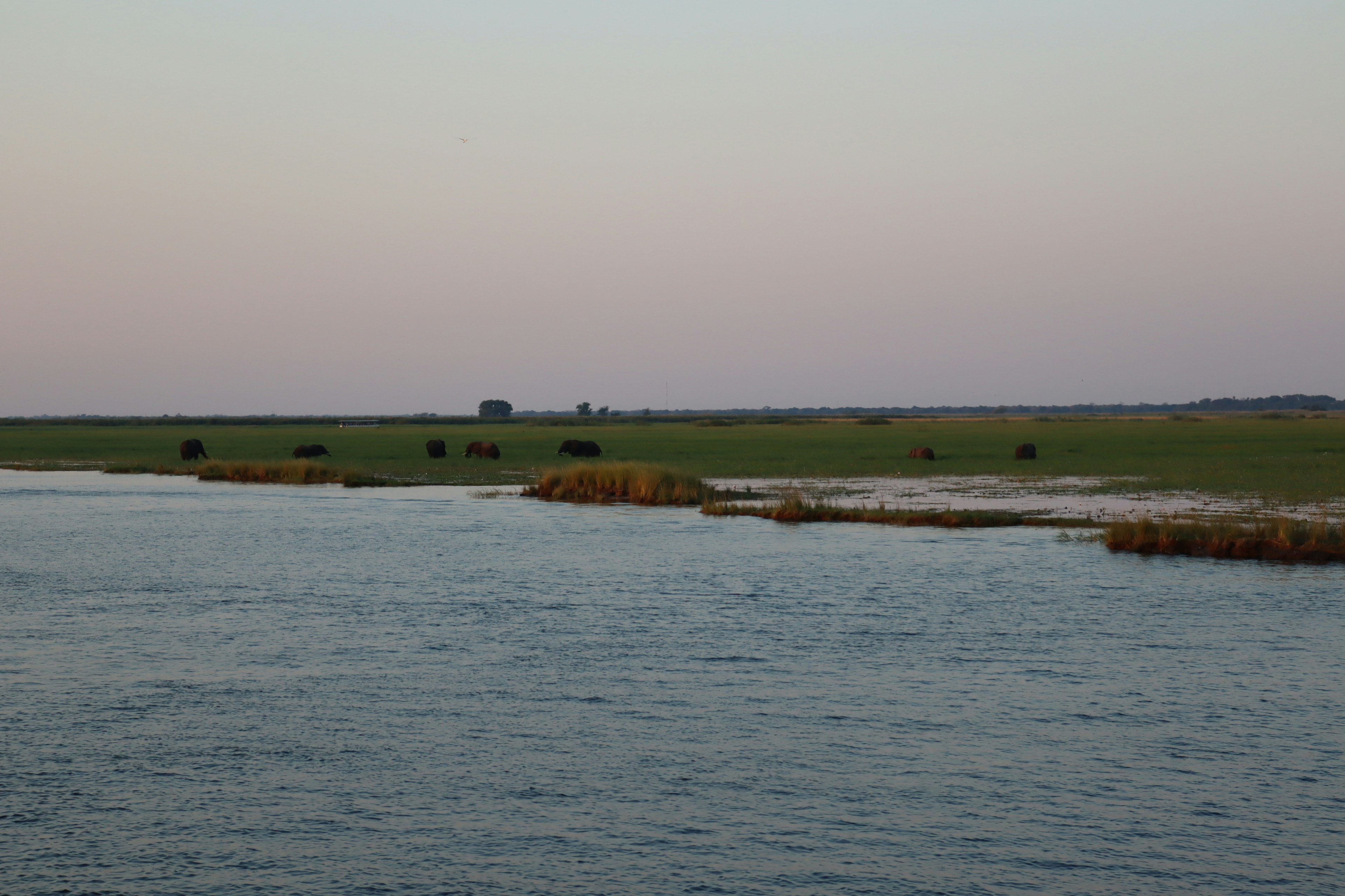 Calm river with expansive grassy landscape and soft colored sky