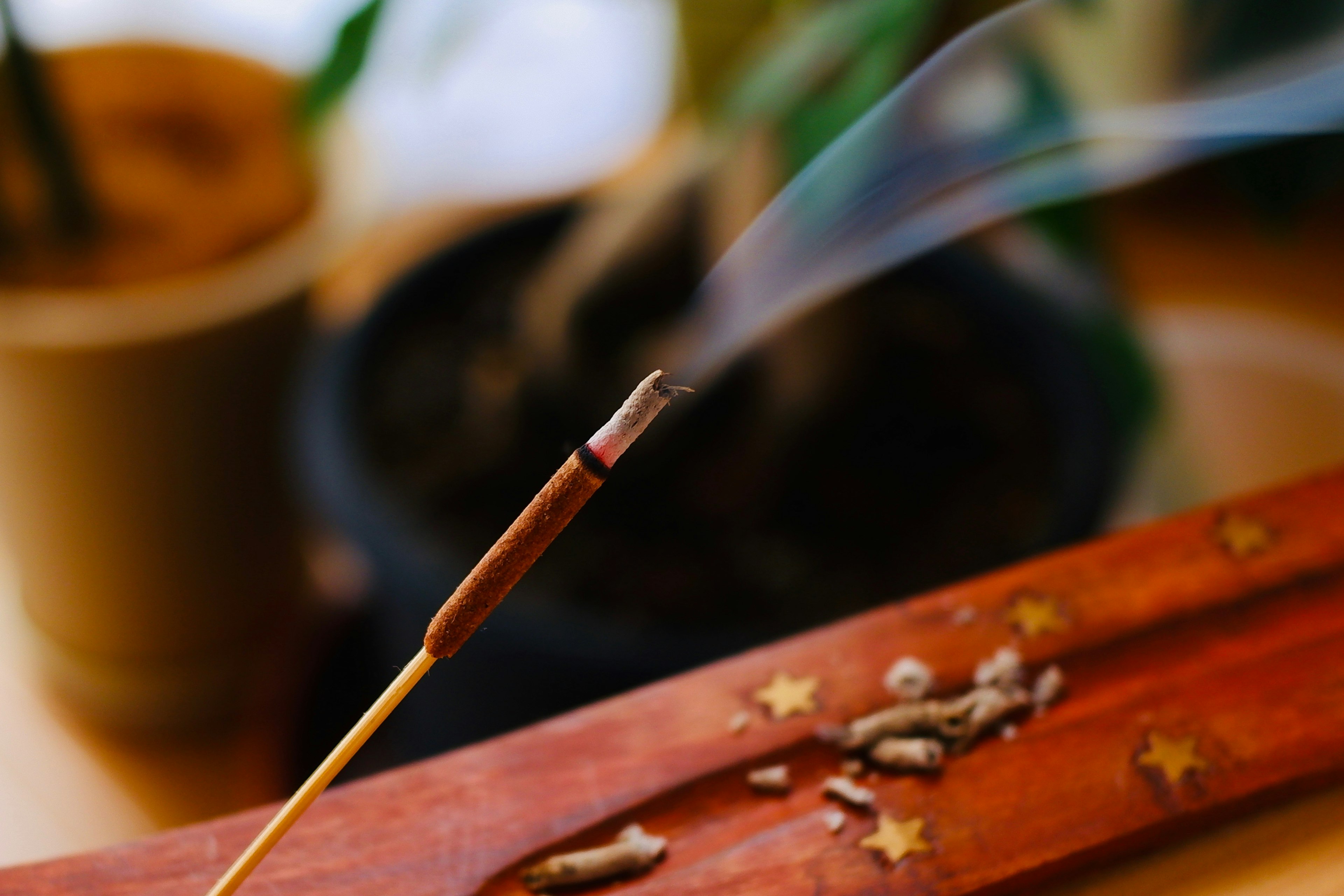 冒烟的香和背景植物