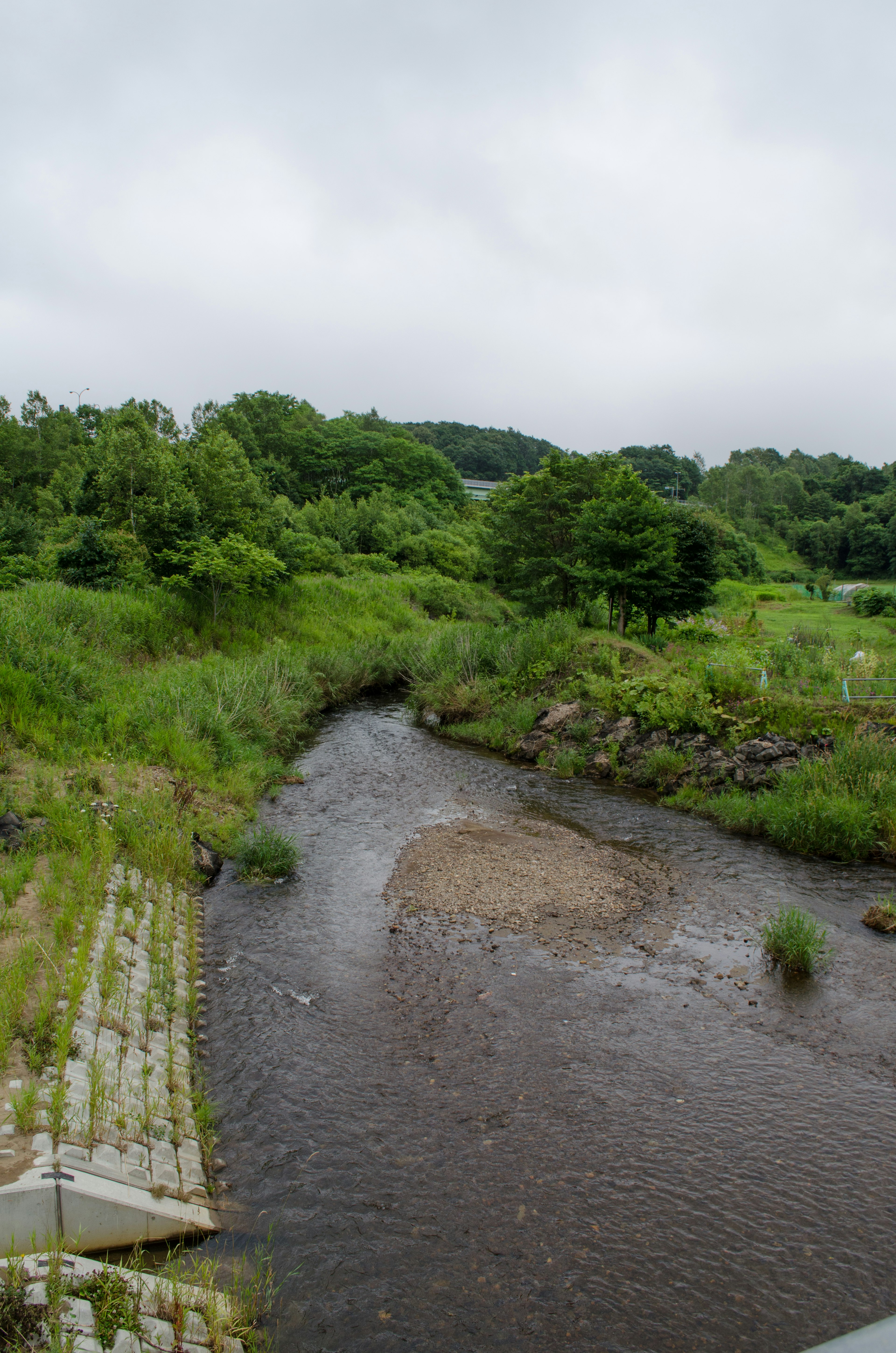 Ruhiger Fluss mit üppiger grüner Landschaft in einer natürlichen Umgebung