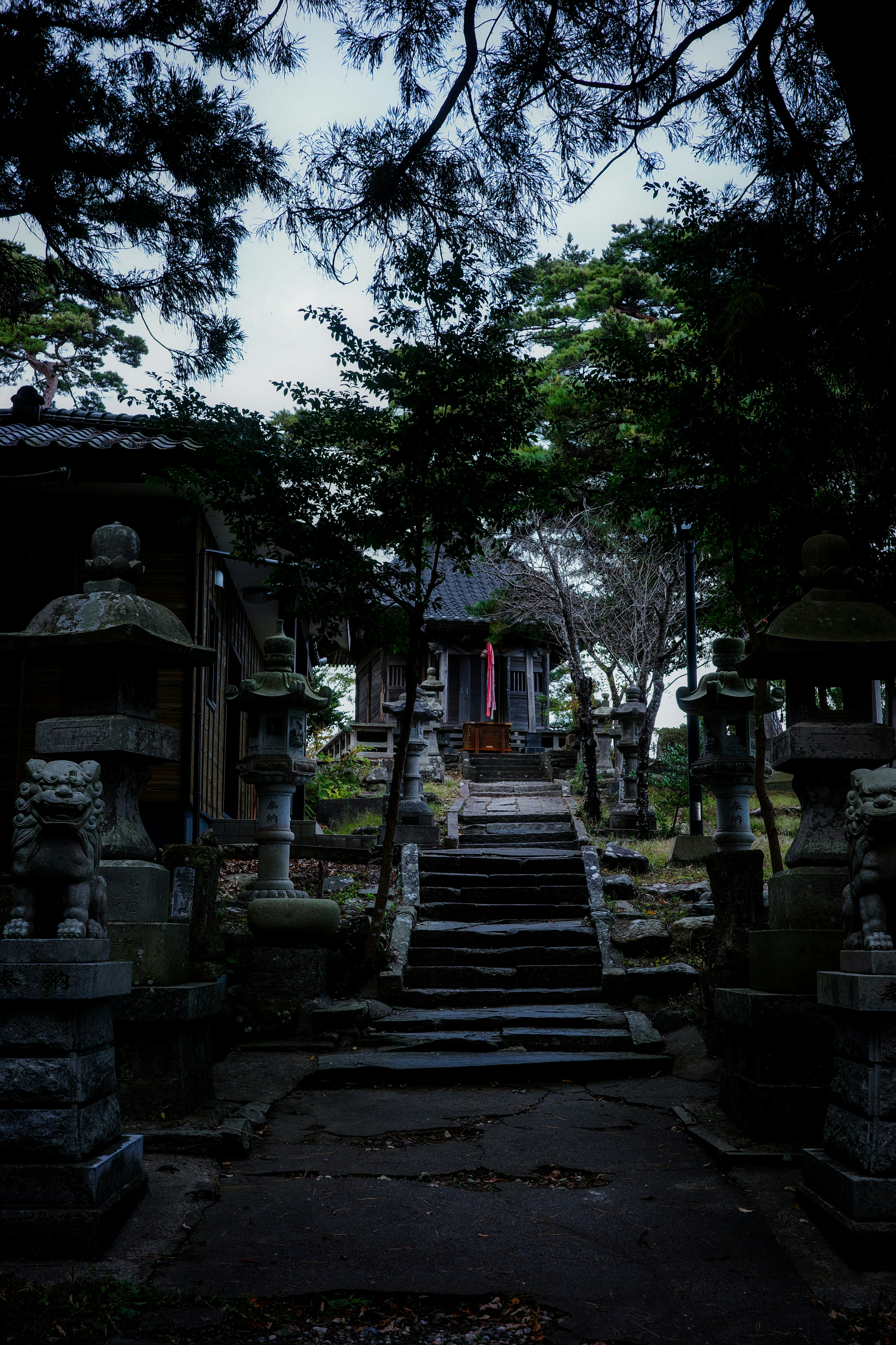 階段のある神社の風景 植物と石像が周囲に配置されている